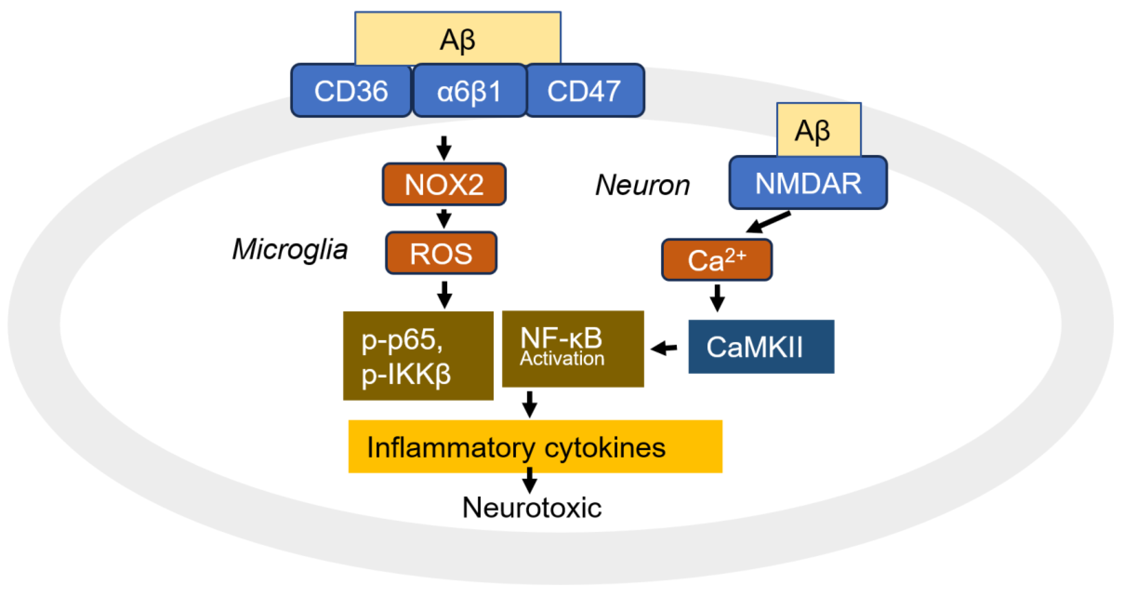 Cells 14 00089 g009 Cells 14 00089 g009