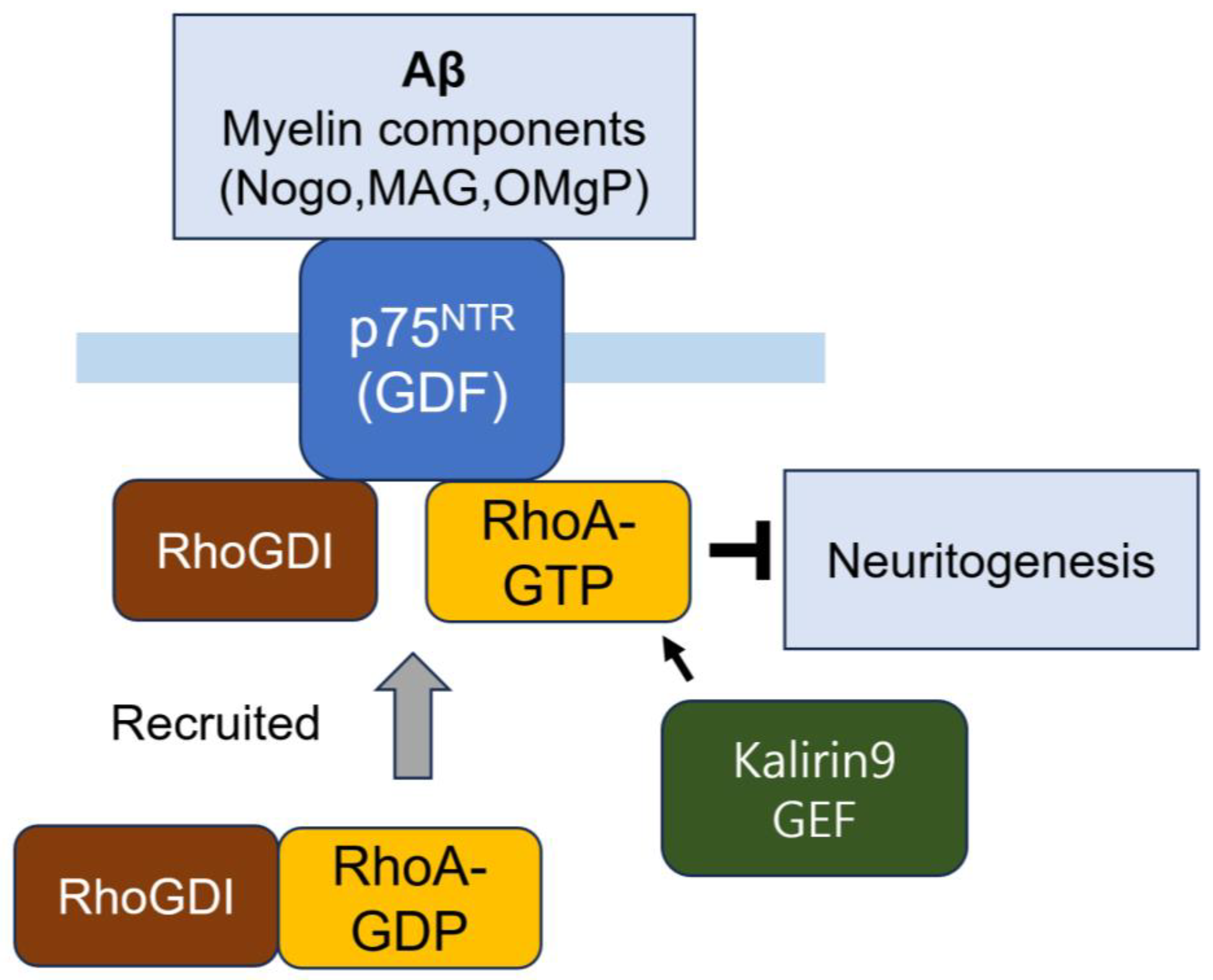 Cells 14 00089 g014 Cells 14 00089 g014