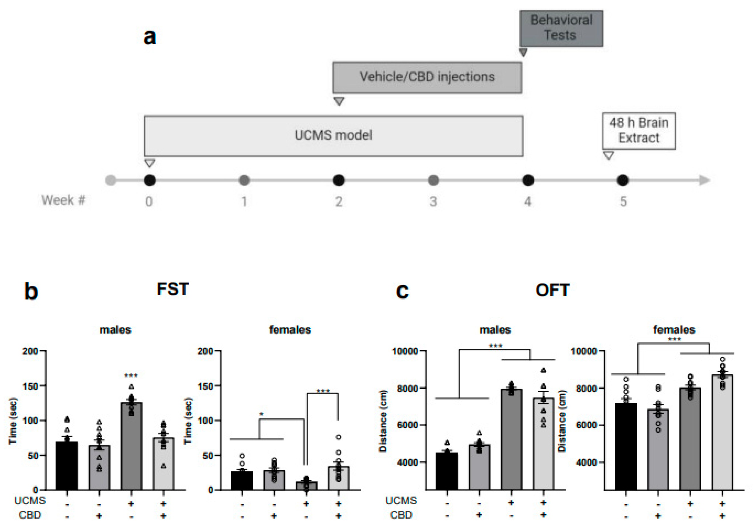 Cells 14 00099 g001 Cells 14 00099 g001