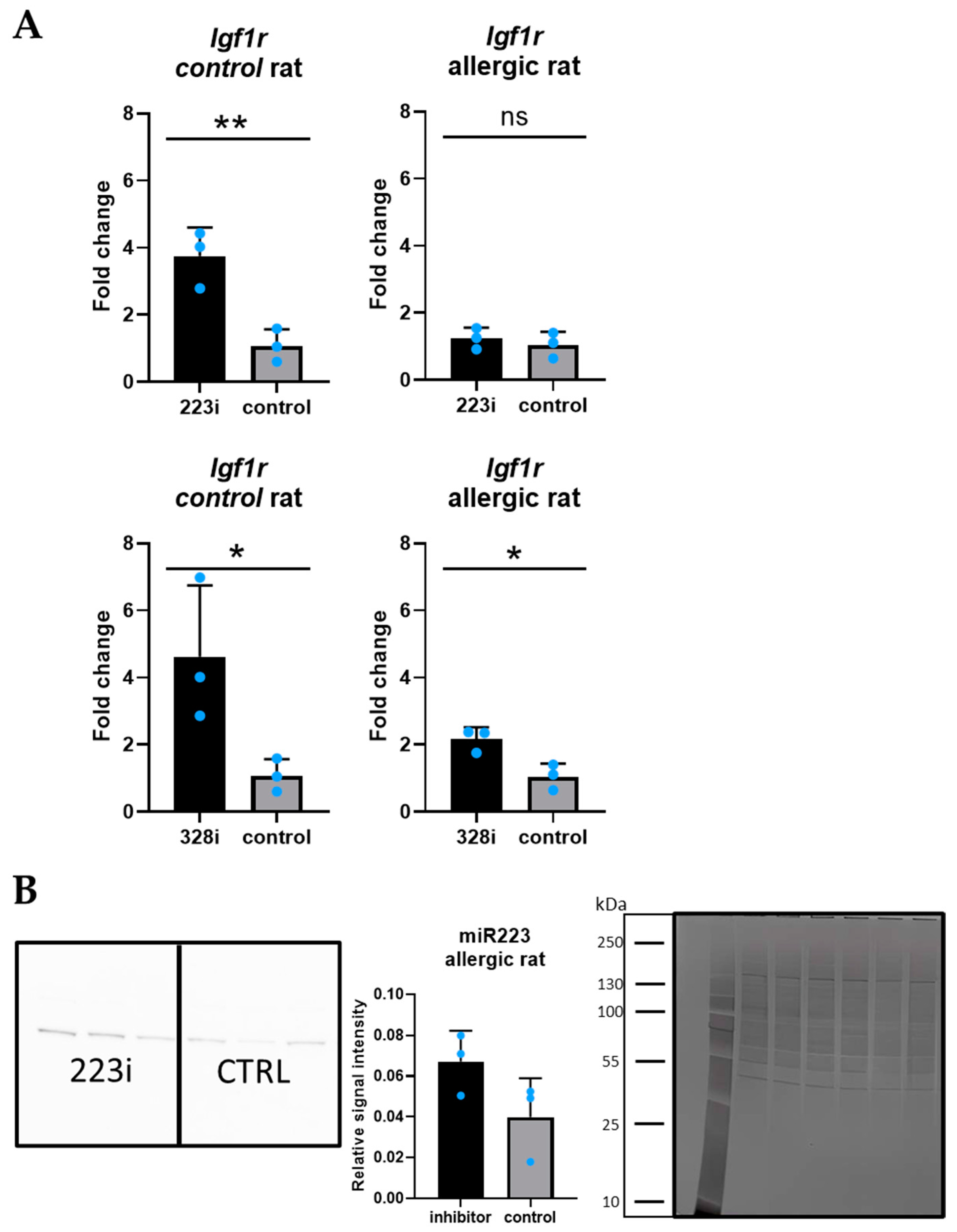 Cells 14 00104 g003 Cells 14 00104 g003