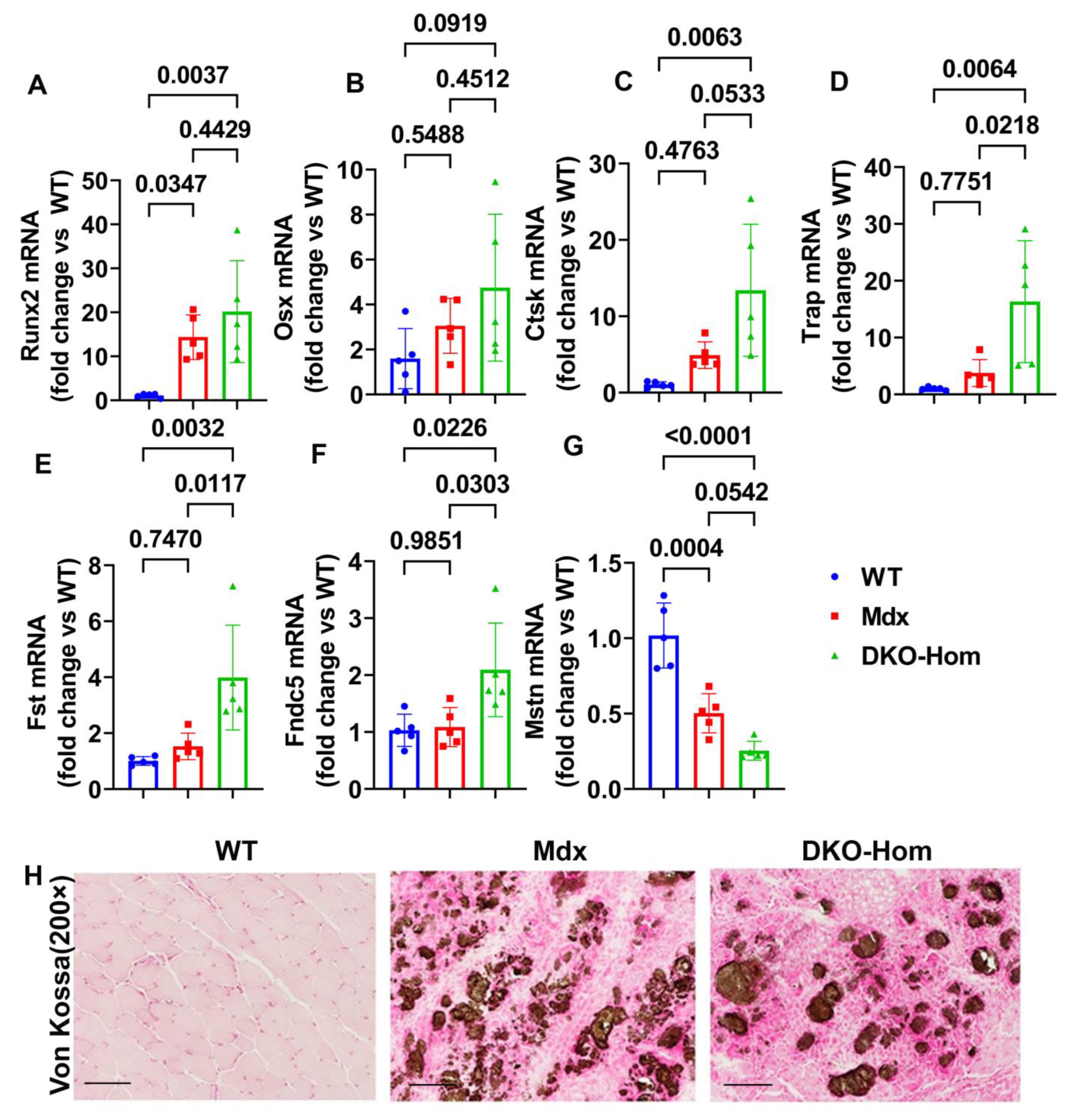 Cells 14 00116 g002 Cells 14 00116 g002