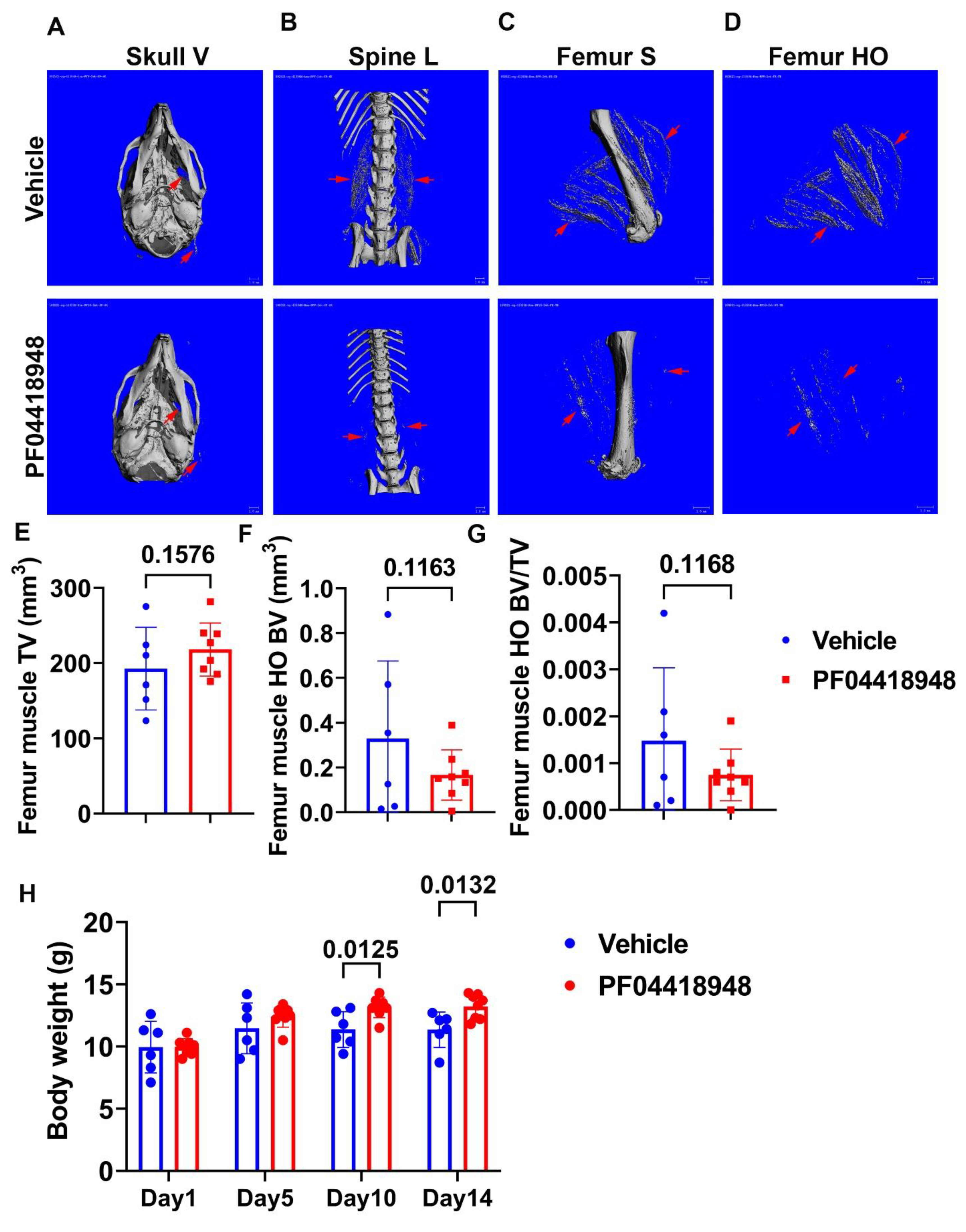 Cells 14 00116 g004 Cells 14 00116 g004
