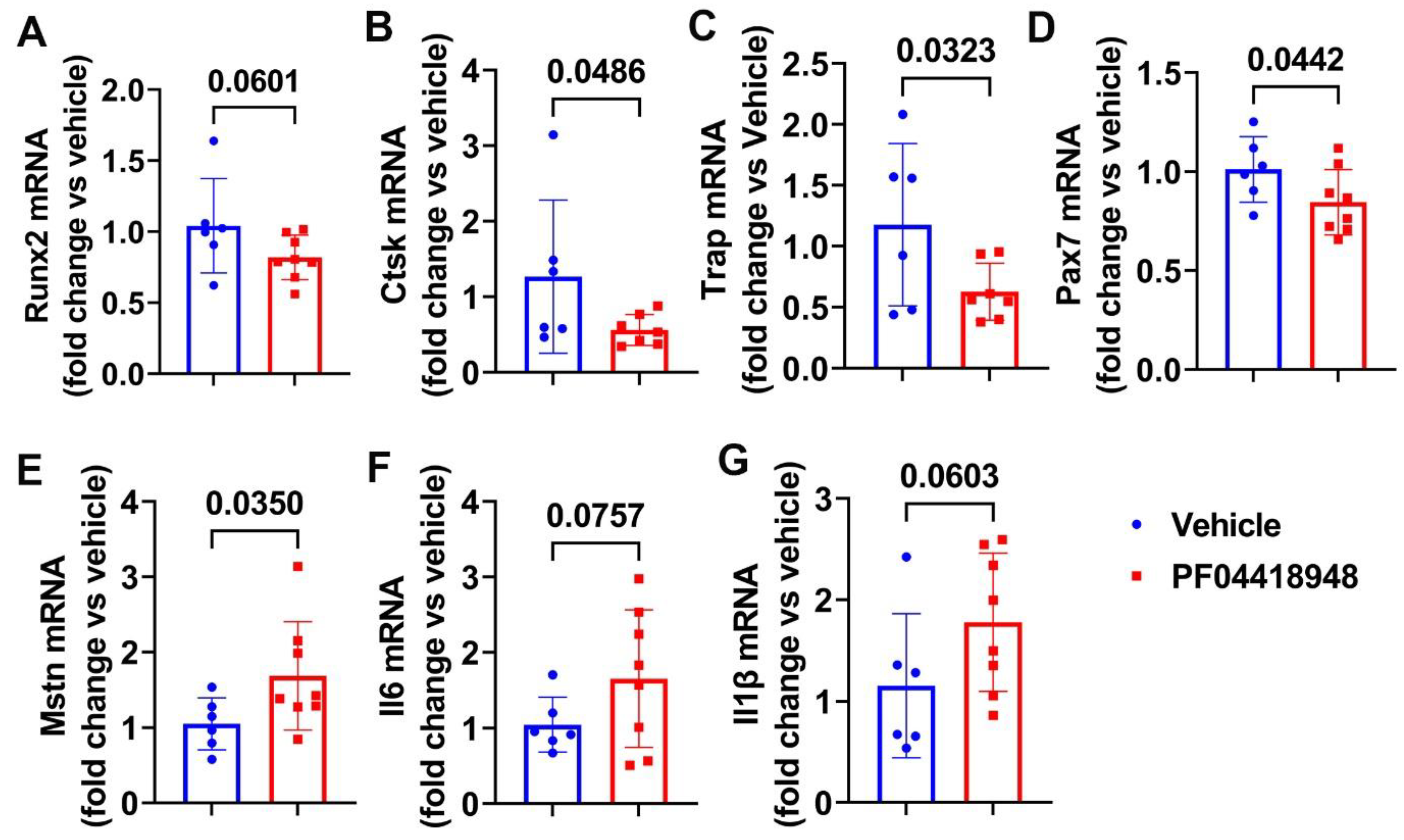 Cells 14 00116 g006 Cells 14 00116 g006