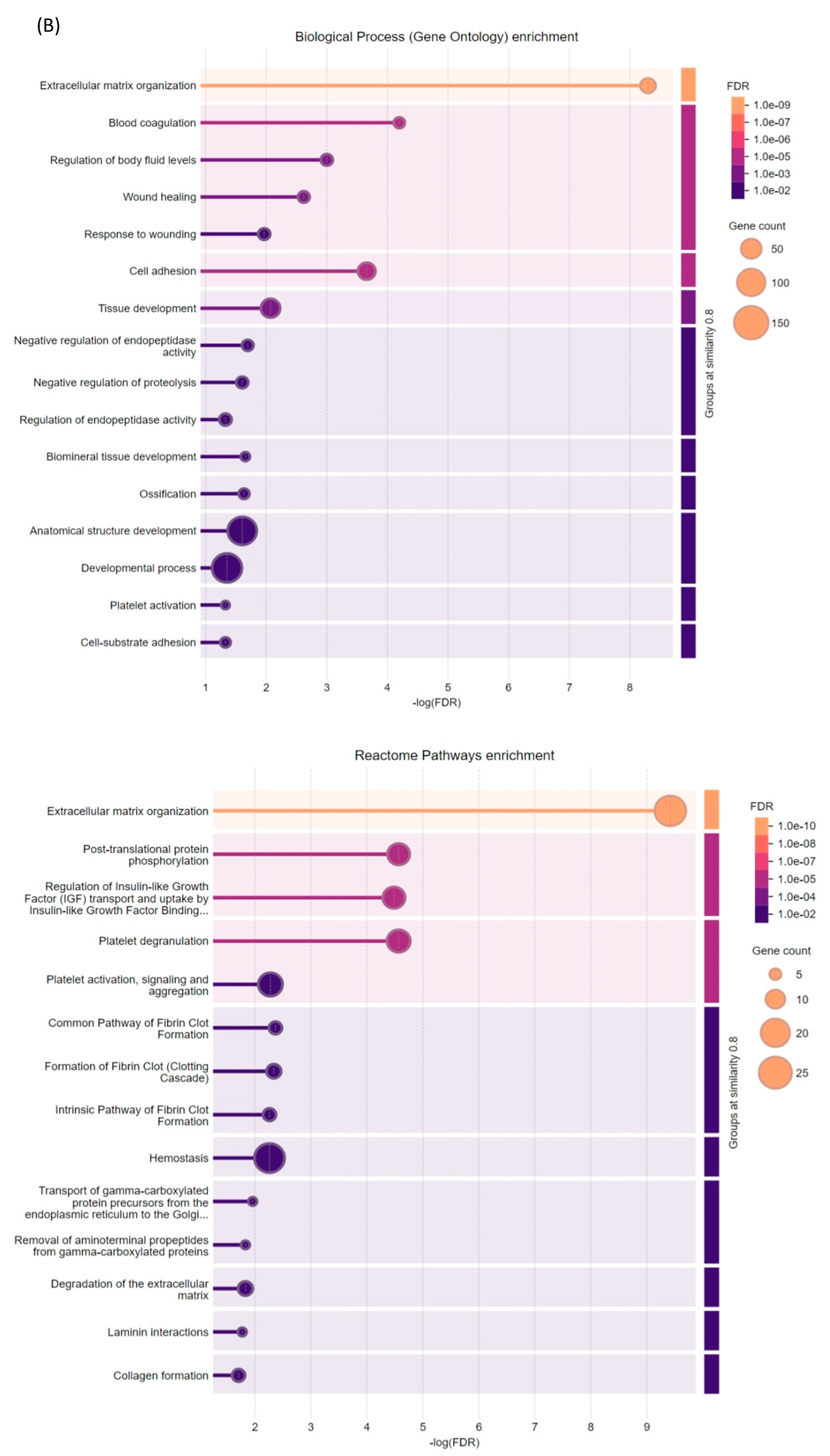 Cells 14 00130 g004b