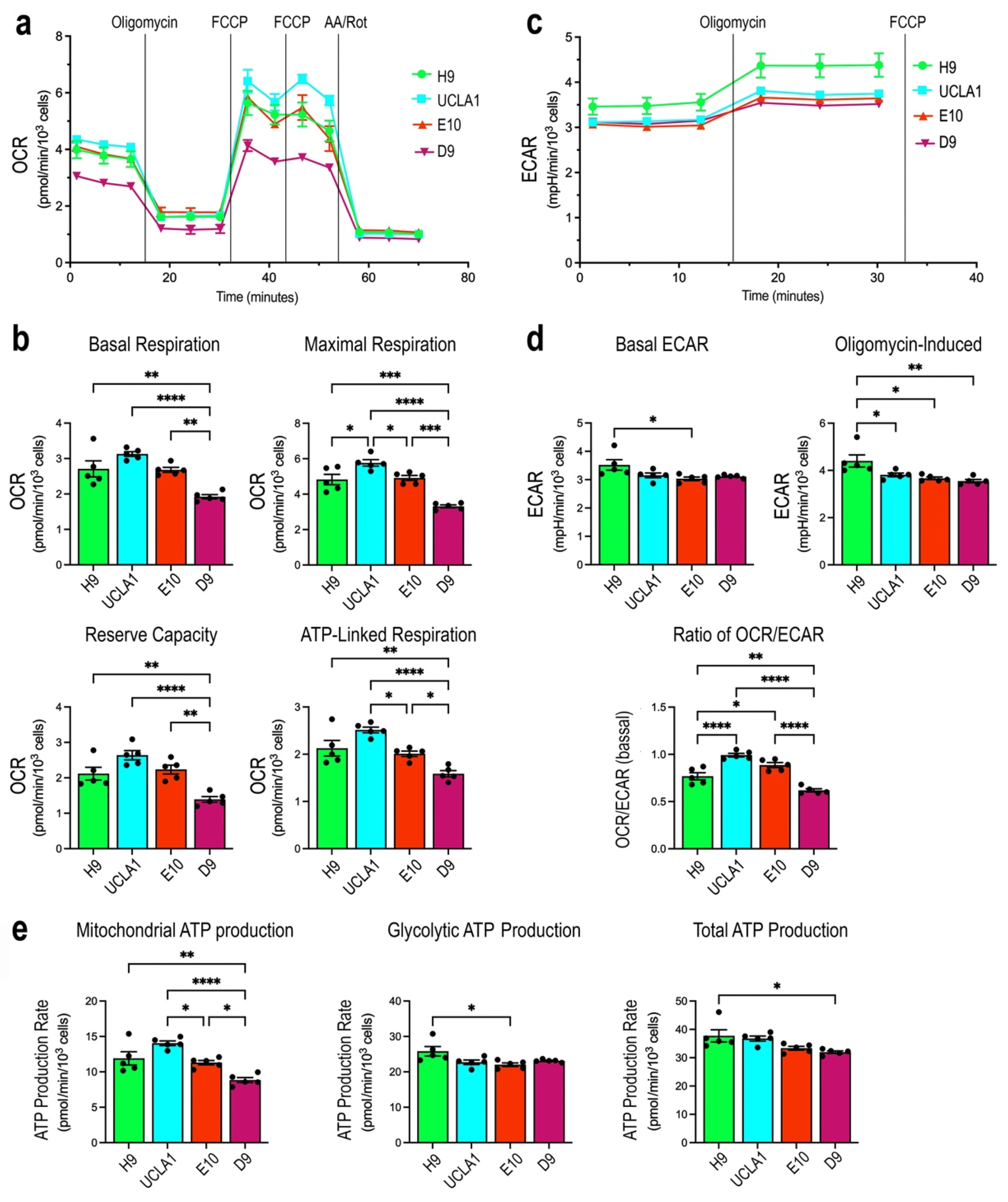 Cells 14 00137 g005 Cells 14 00137 g005