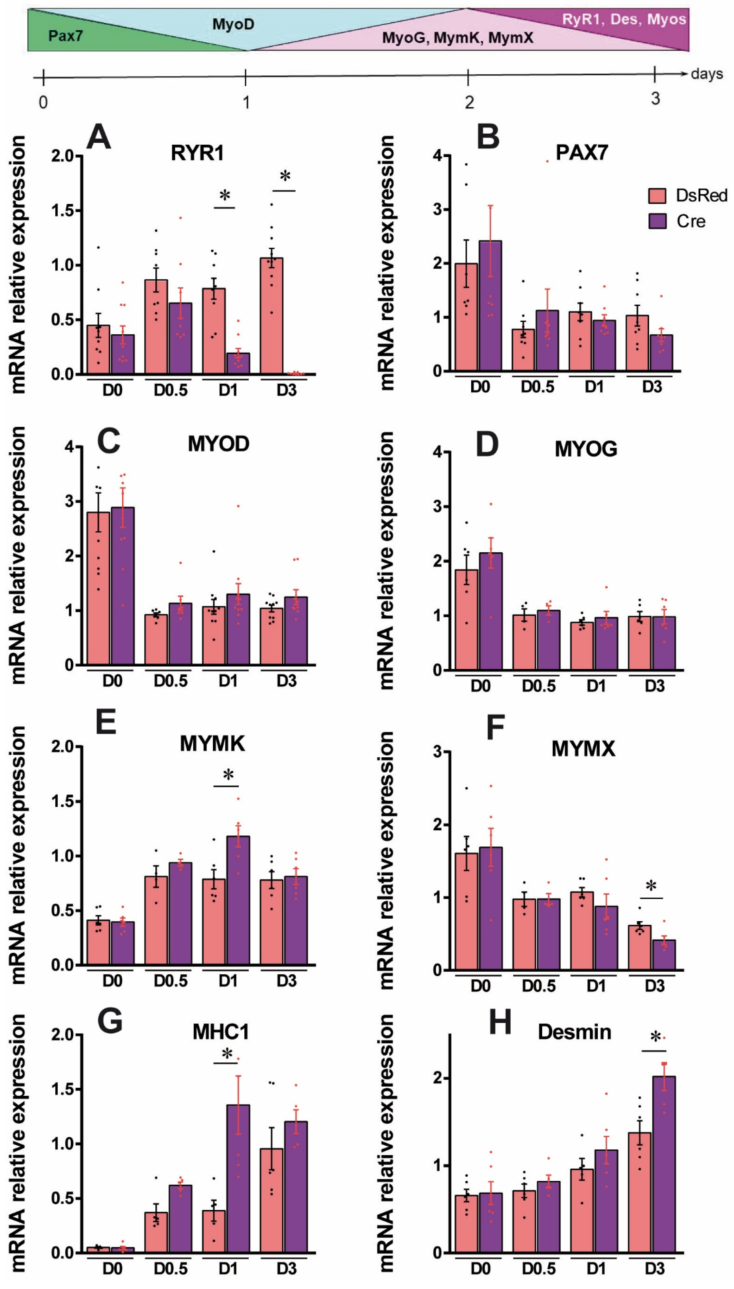 Cells 14 00158 g003 Cells 14 00158 g003