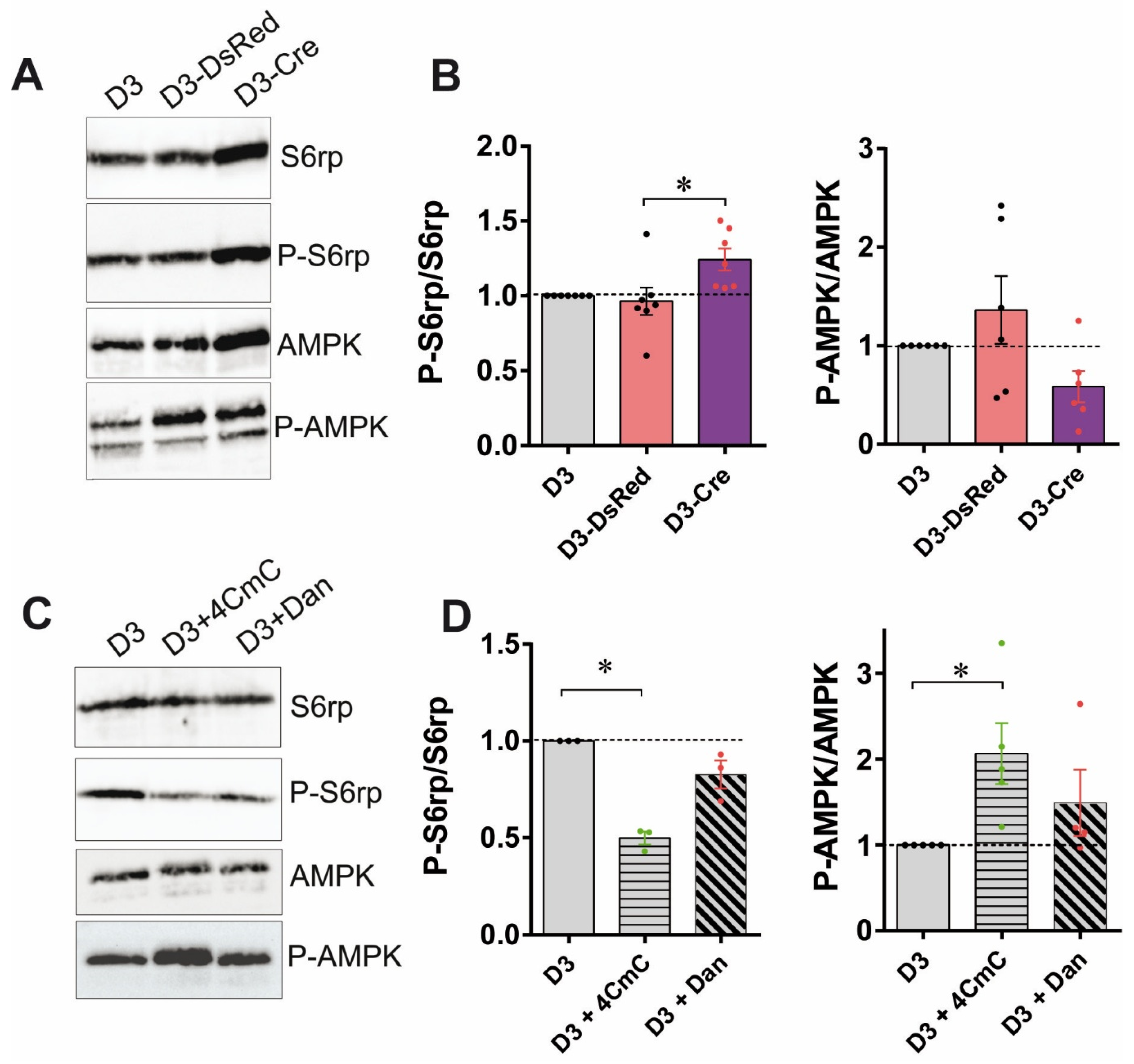 Cells 14 00158 g004 Cells 14 00158 g004