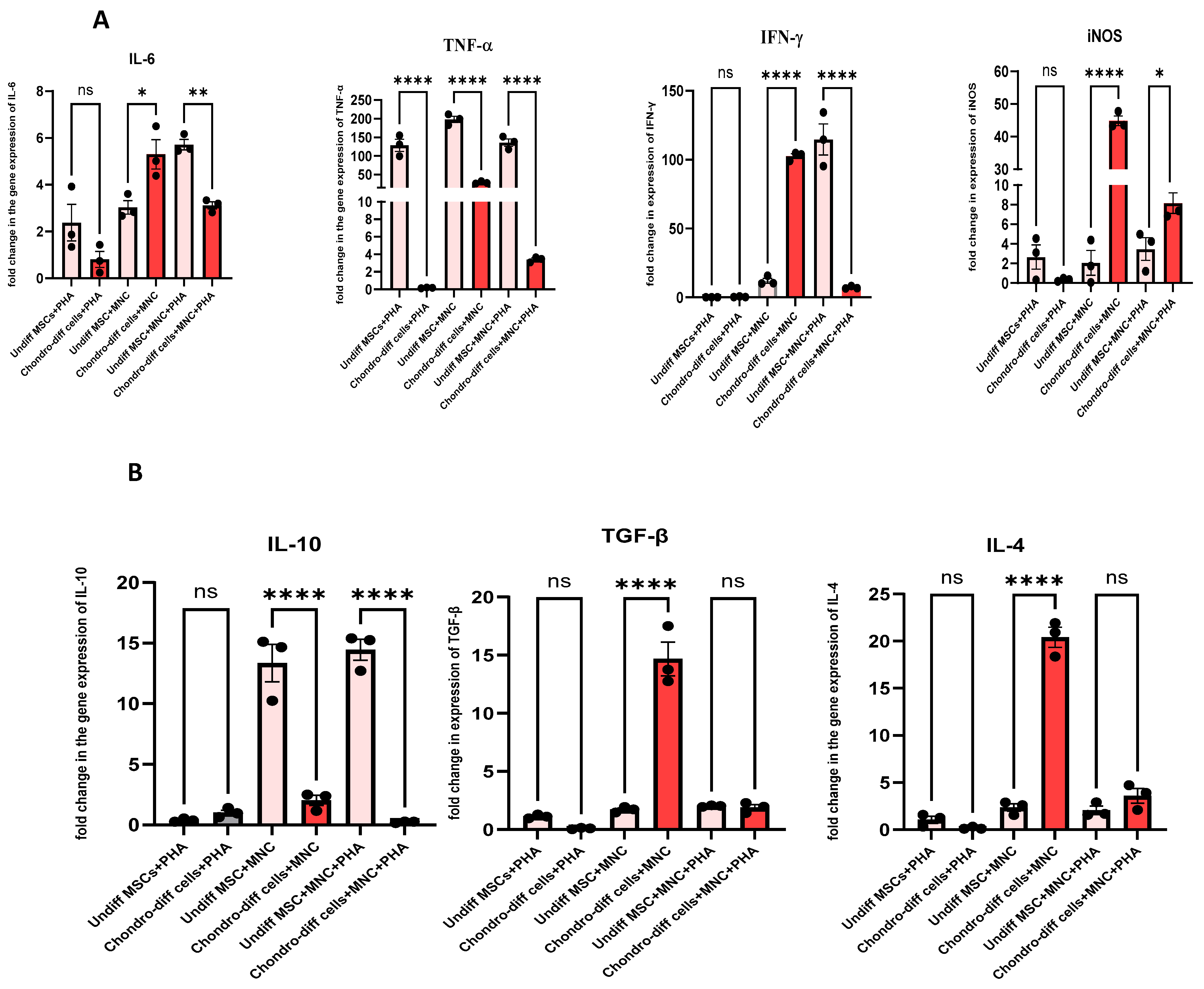 Cells 14 00174 g006a