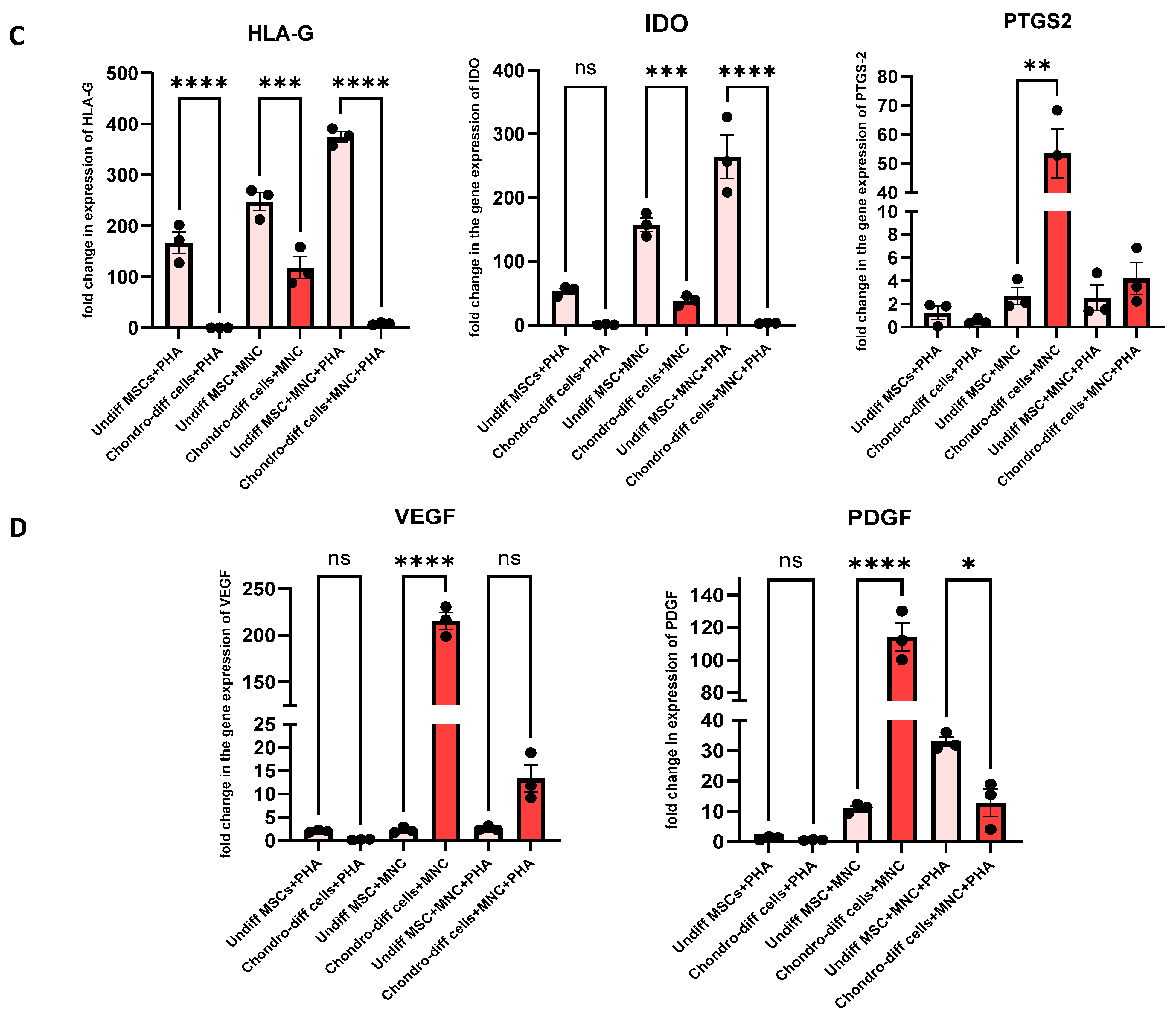 Cells 14 00174 g006b
