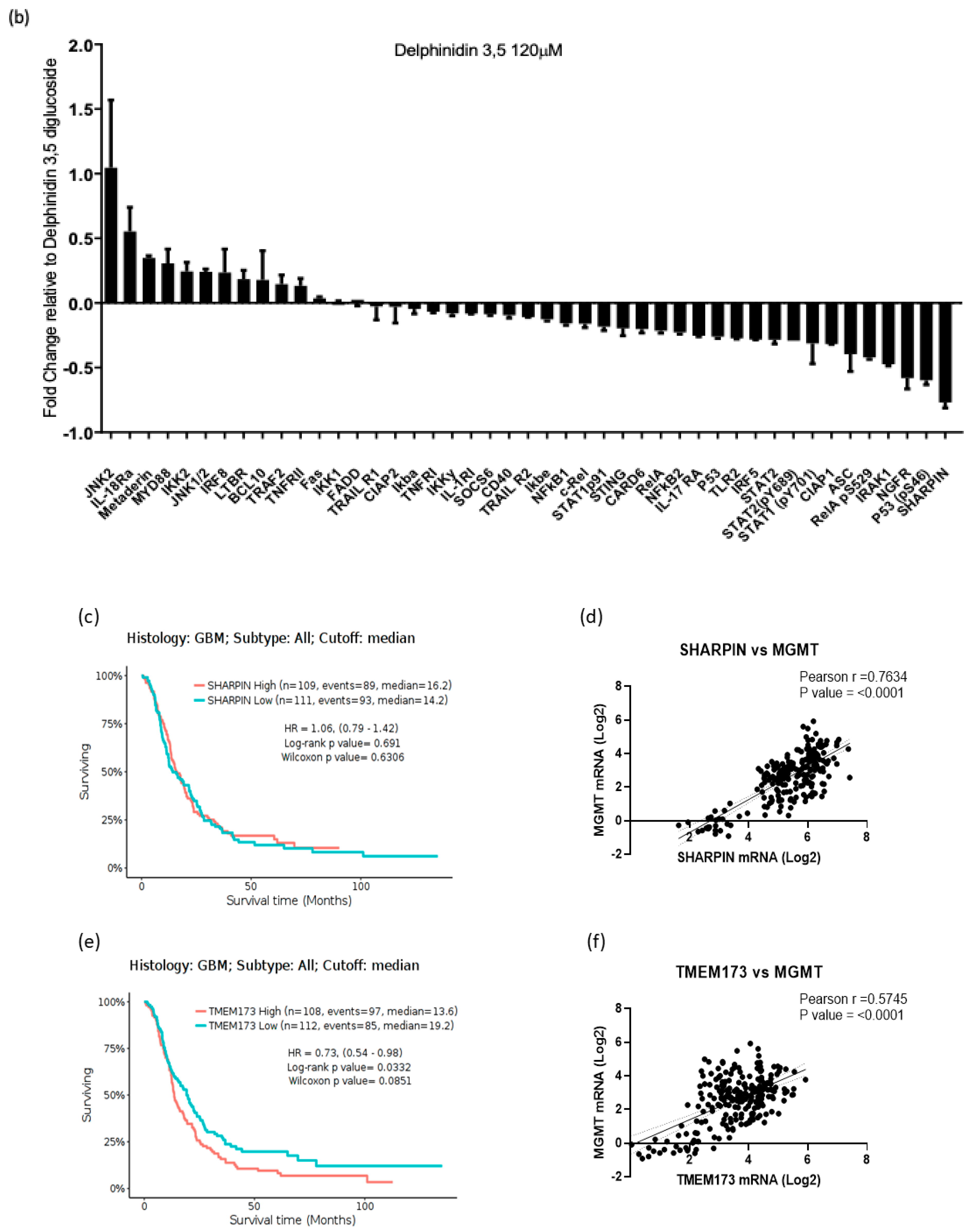 Cells 14 00179 g003b