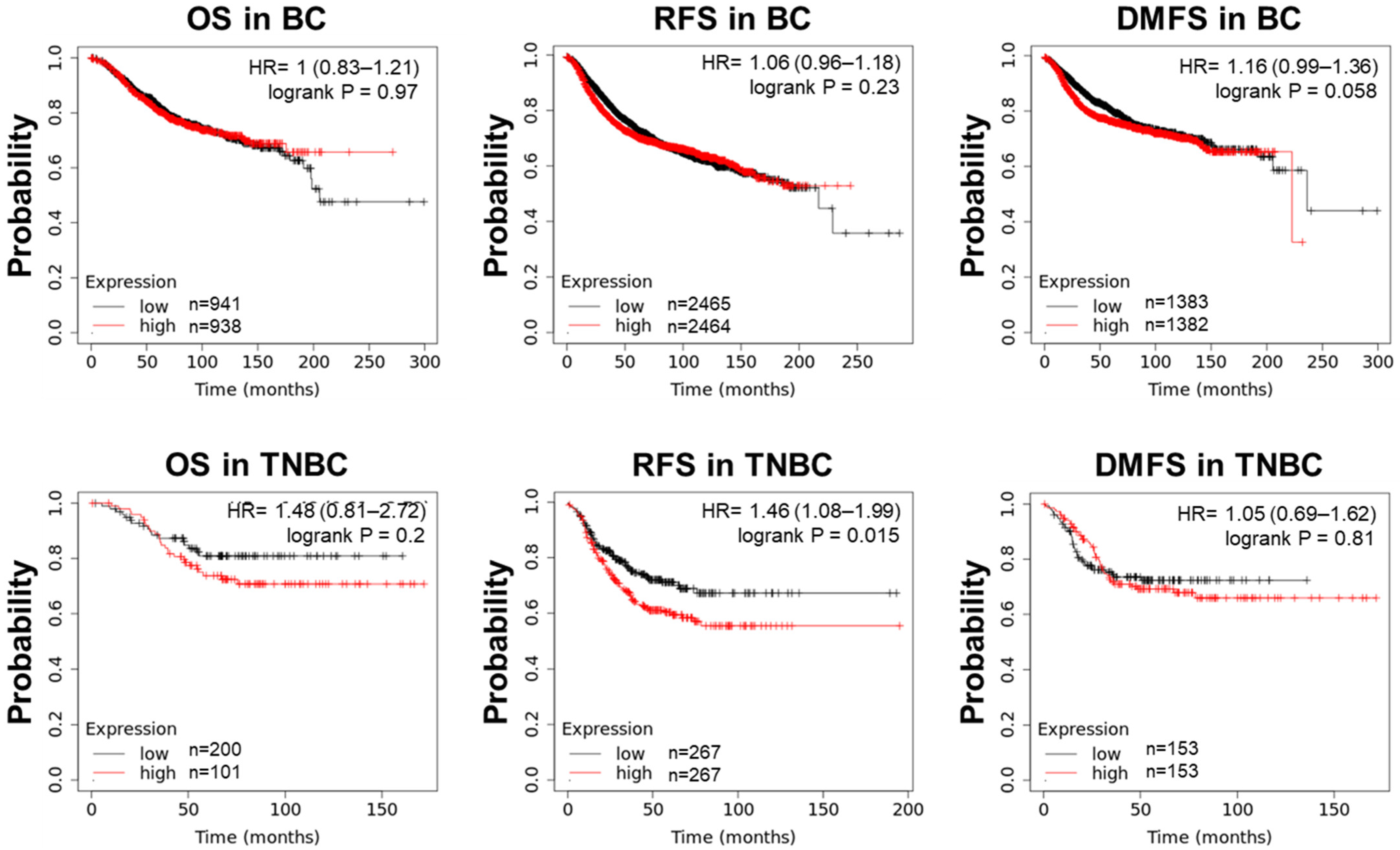Cells 14 00181 g002 Cells 14 00181 g002