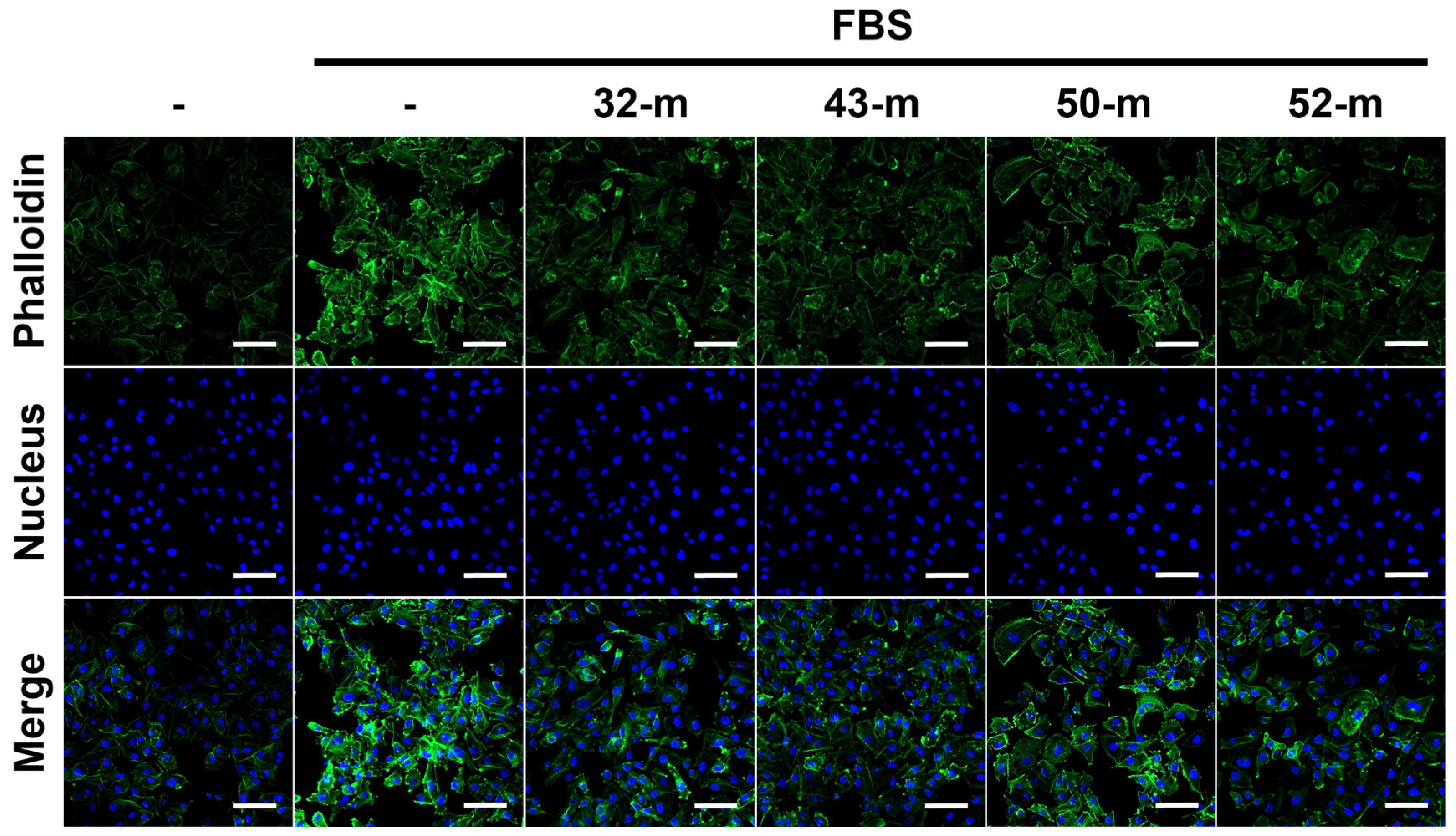 Cells 14 00181 g005 Cells 14 00181 g005