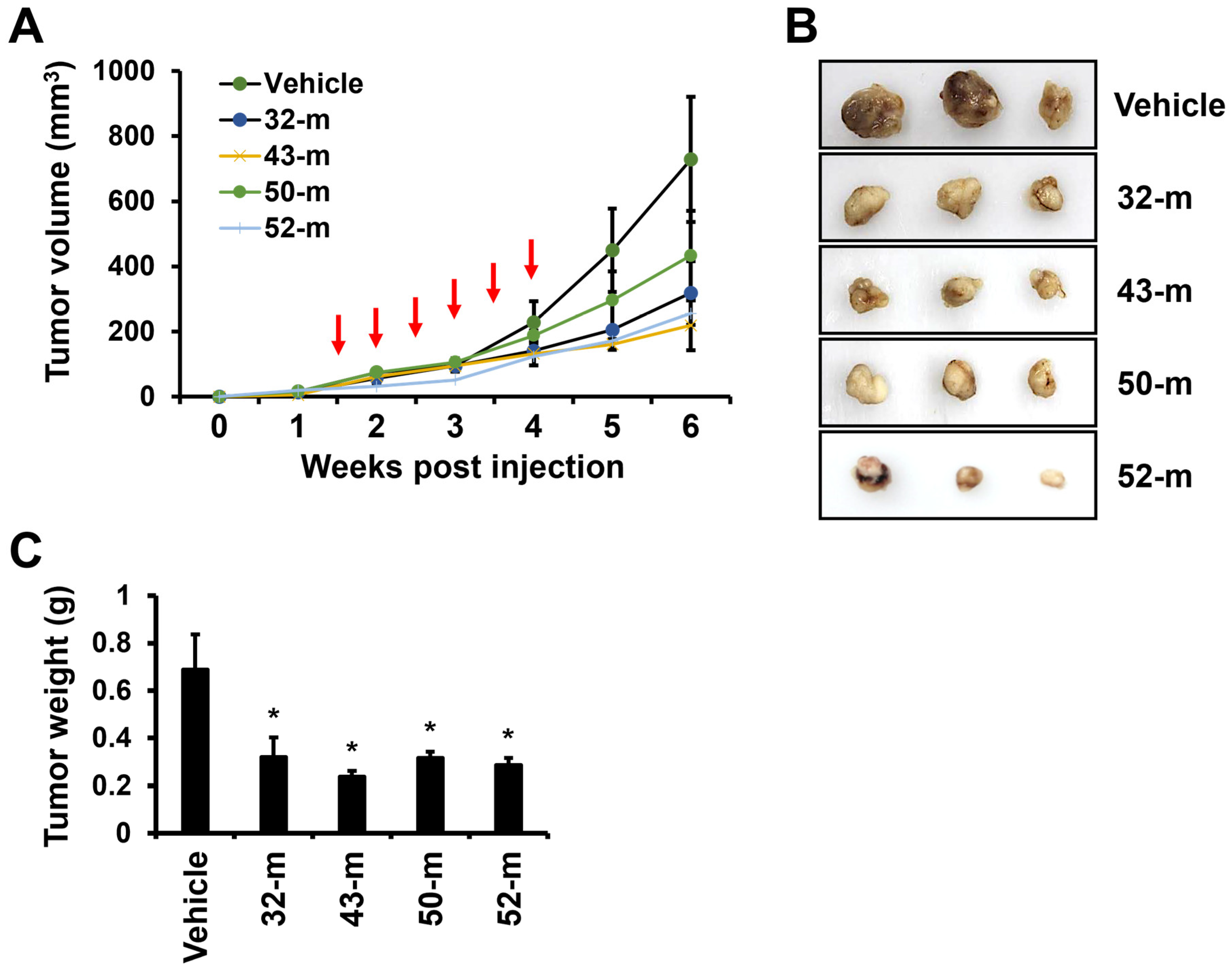 Cells 14 00181 g006 Cells 14 00181 g006
