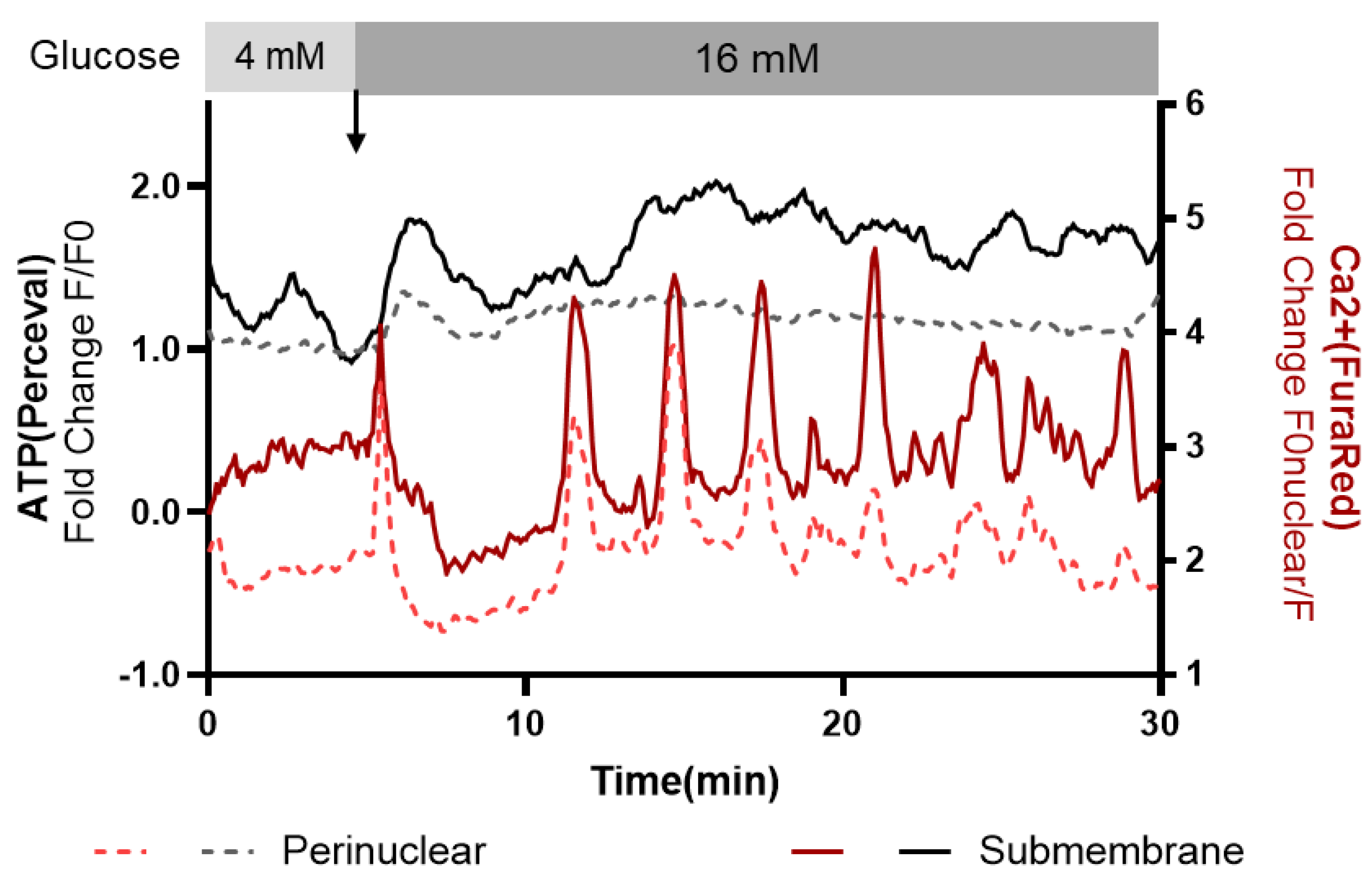 Cells 14 00198 g004 Cells 14 00198 g004