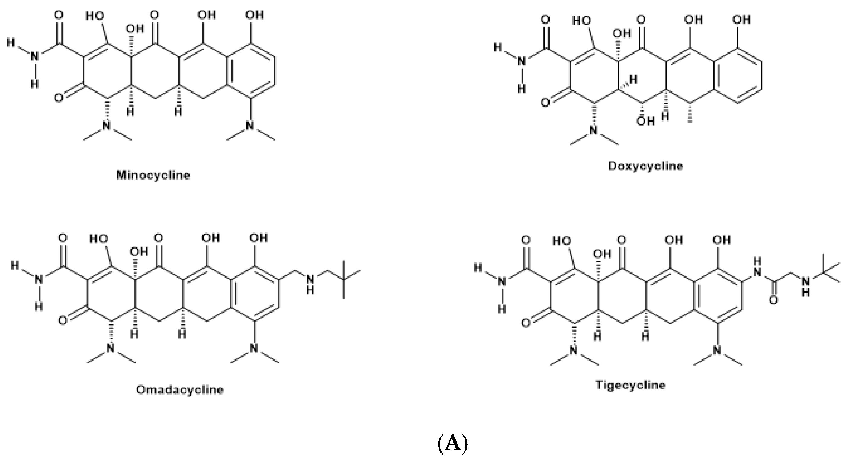 Cells 14 00219 g001a