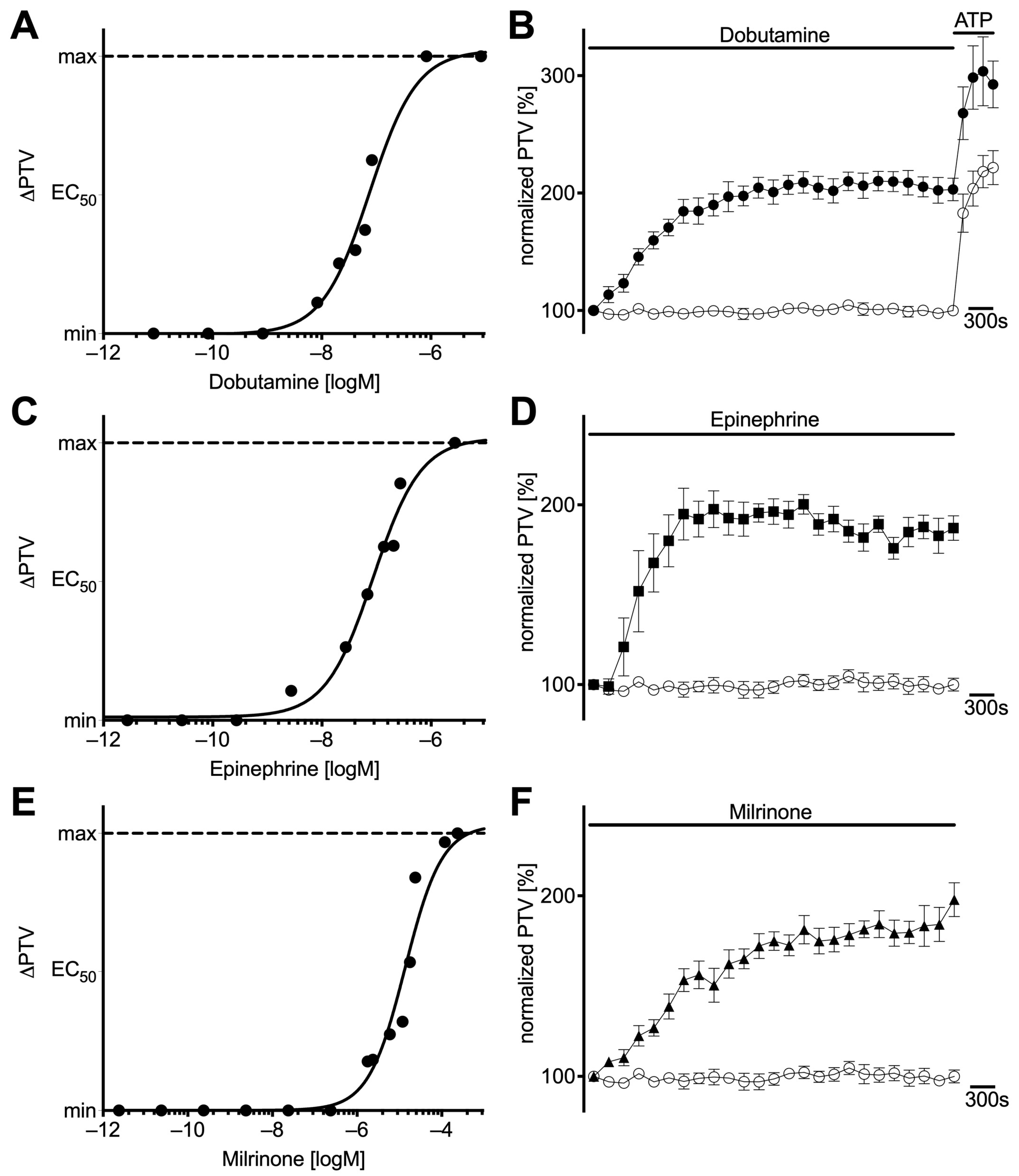 Cells 14 00228 g001 Cells 14 00228 g001