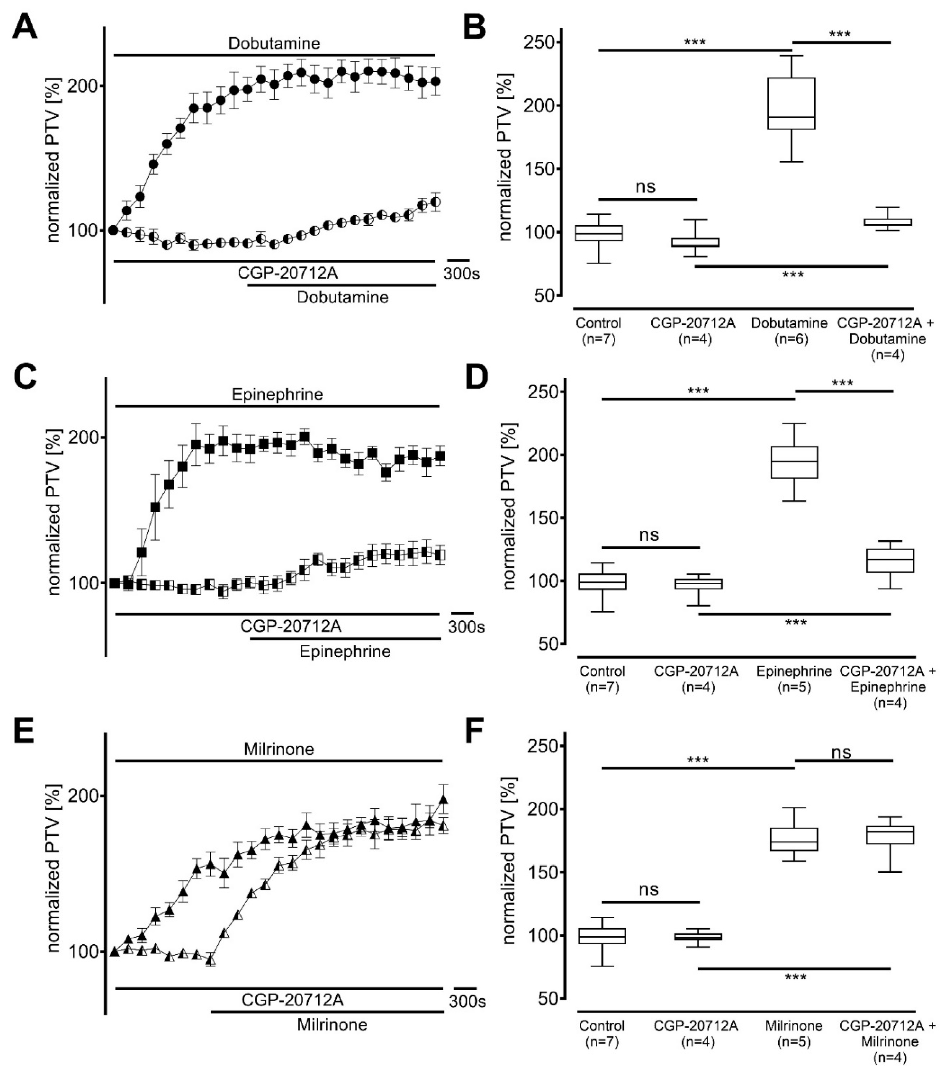 Cells 14 00228 g002 Cells 14 00228 g002