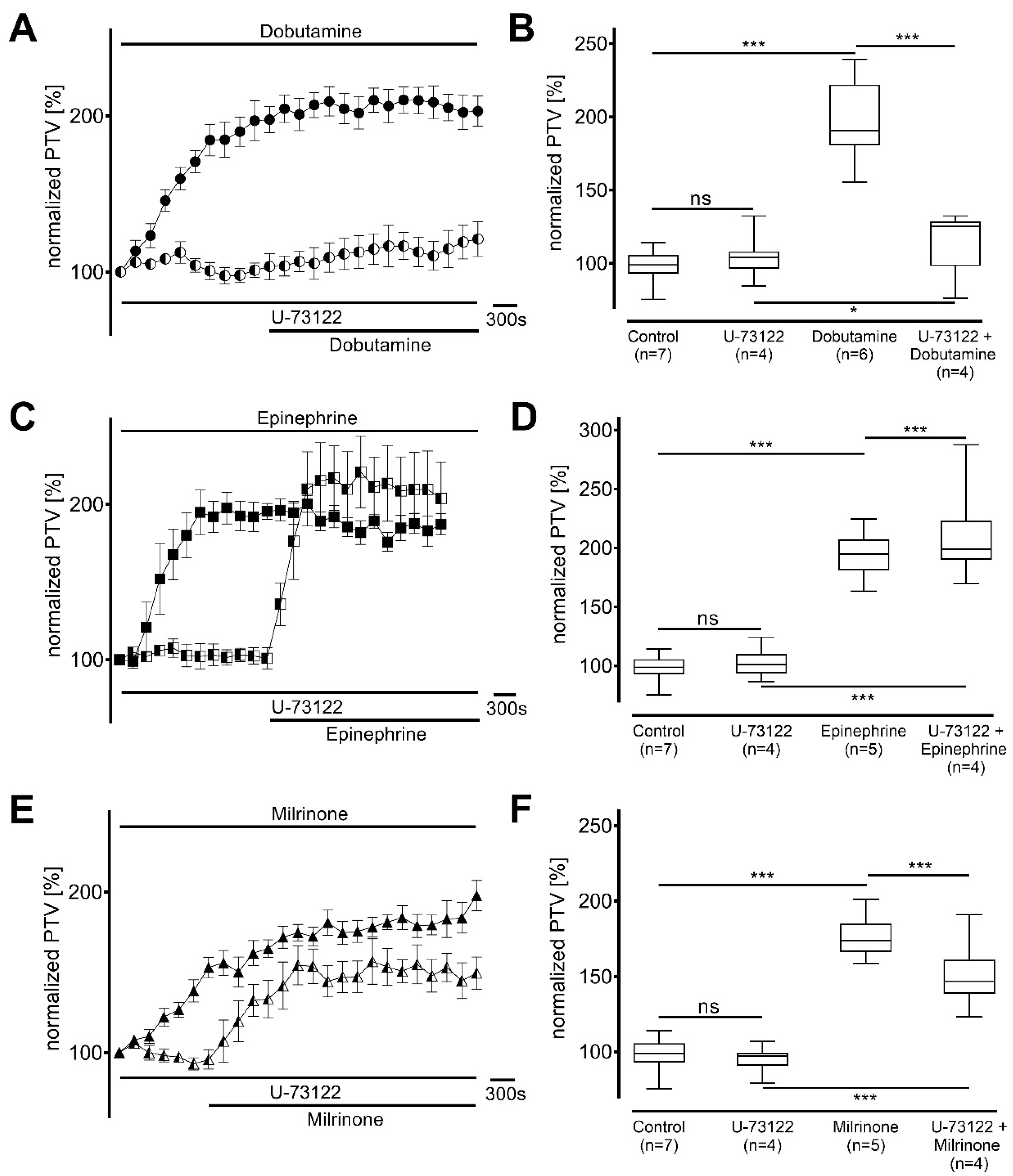 Cells 14 00228 g004 Cells 14 00228 g004