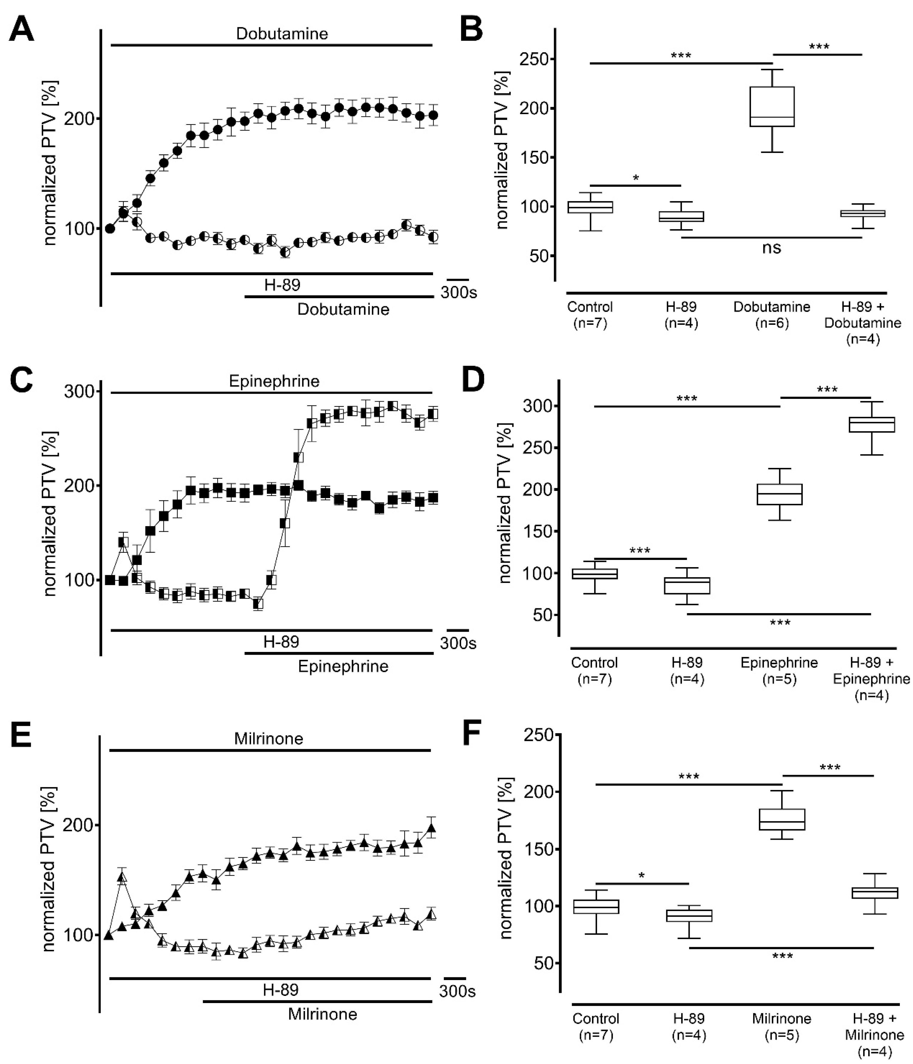 Cells 14 00228 g005 Cells 14 00228 g005