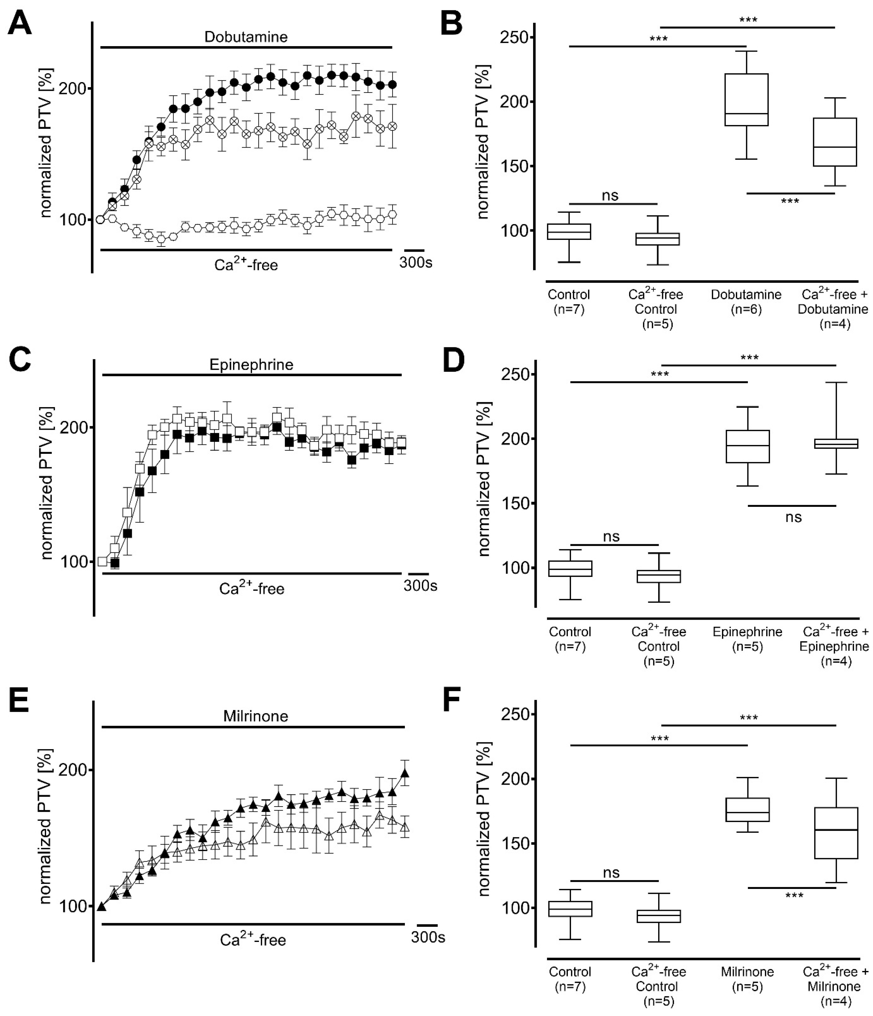Cells 14 00228 g006 Cells 14 00228 g006