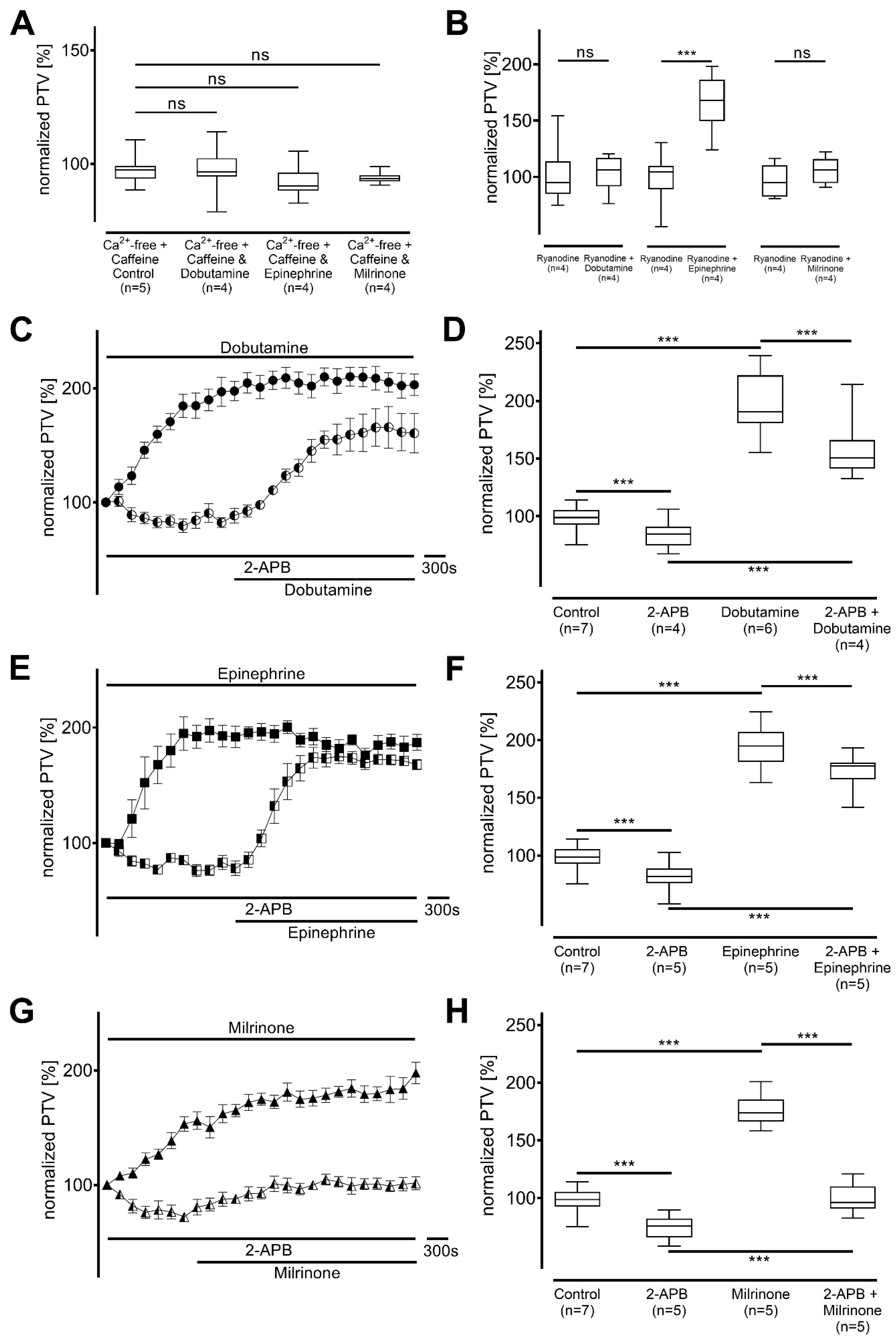Cells 14 00228 g007 Cells 14 00228 g007
