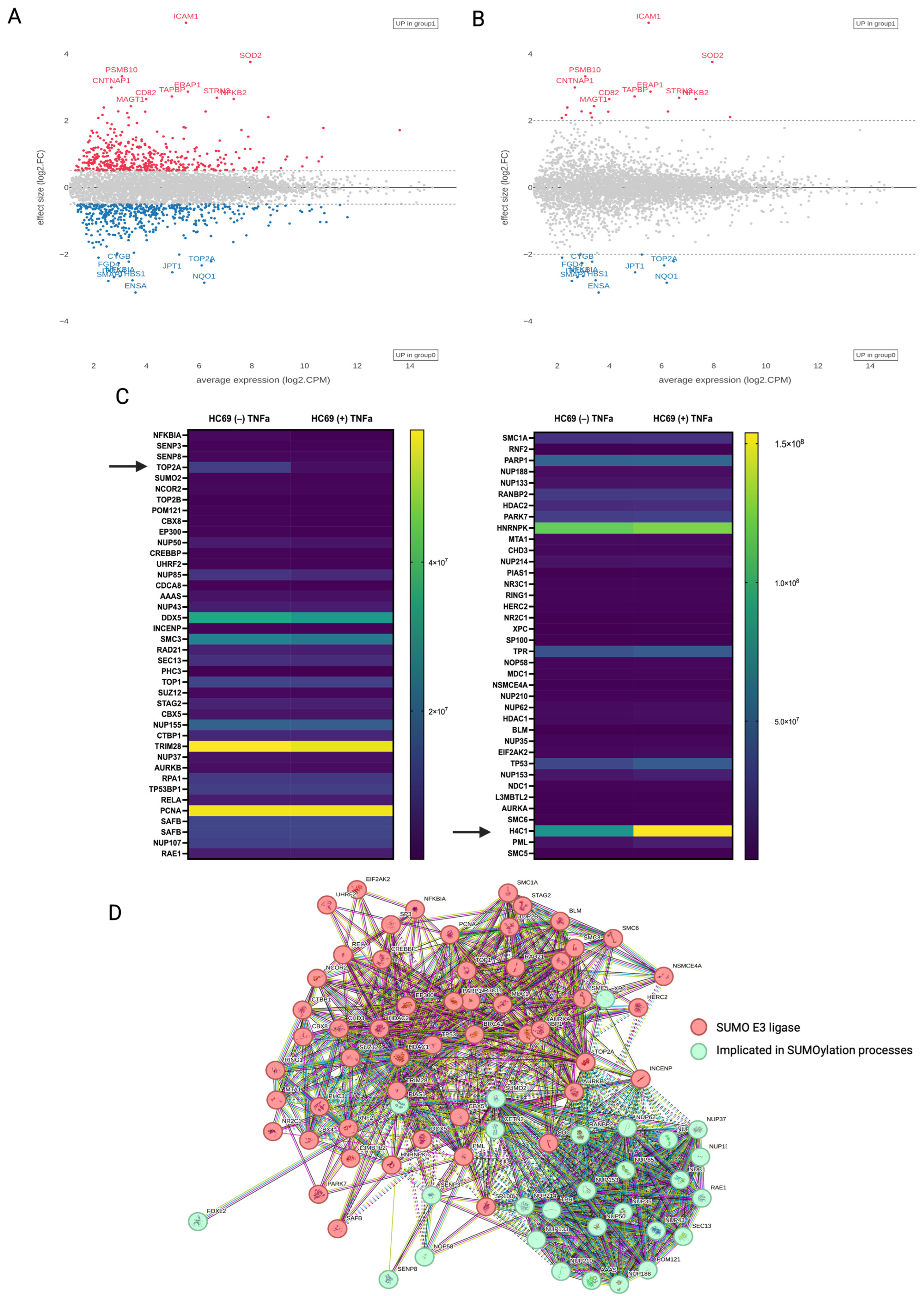 Cells 14 00235 g004 Cells 14 00235 g004