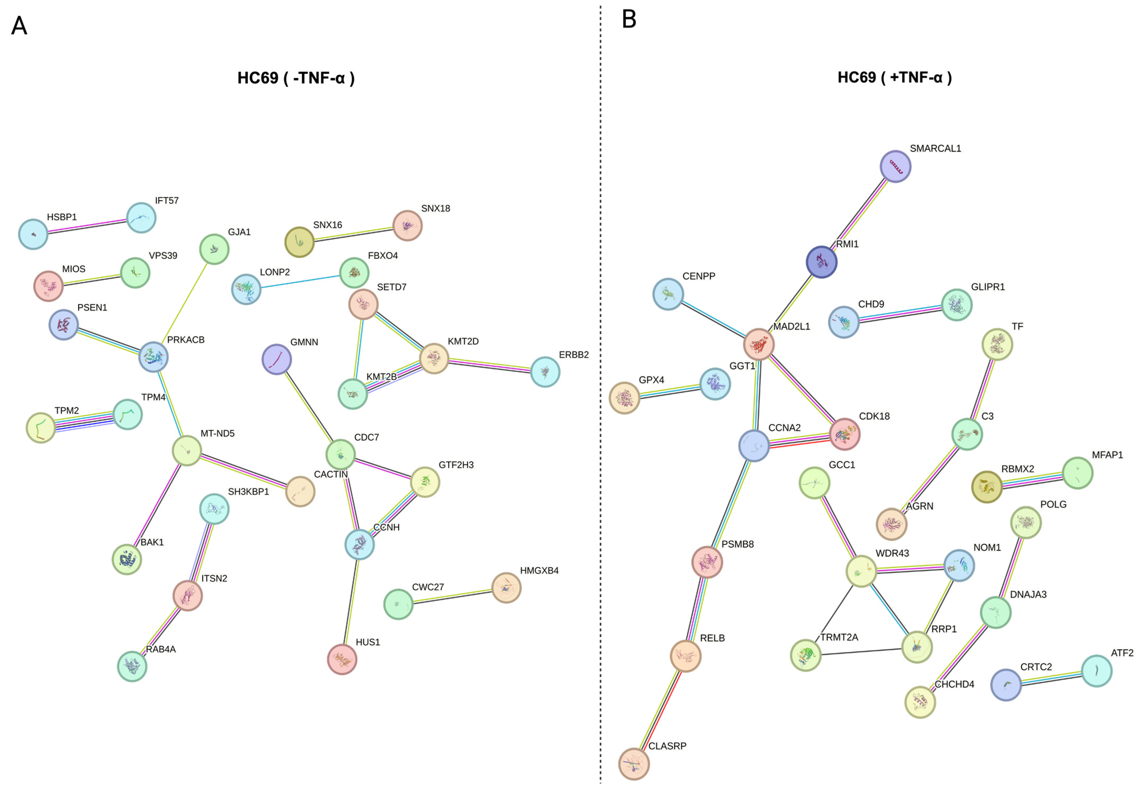 Cells 14 00235 g007 Cells 14 00235 g007