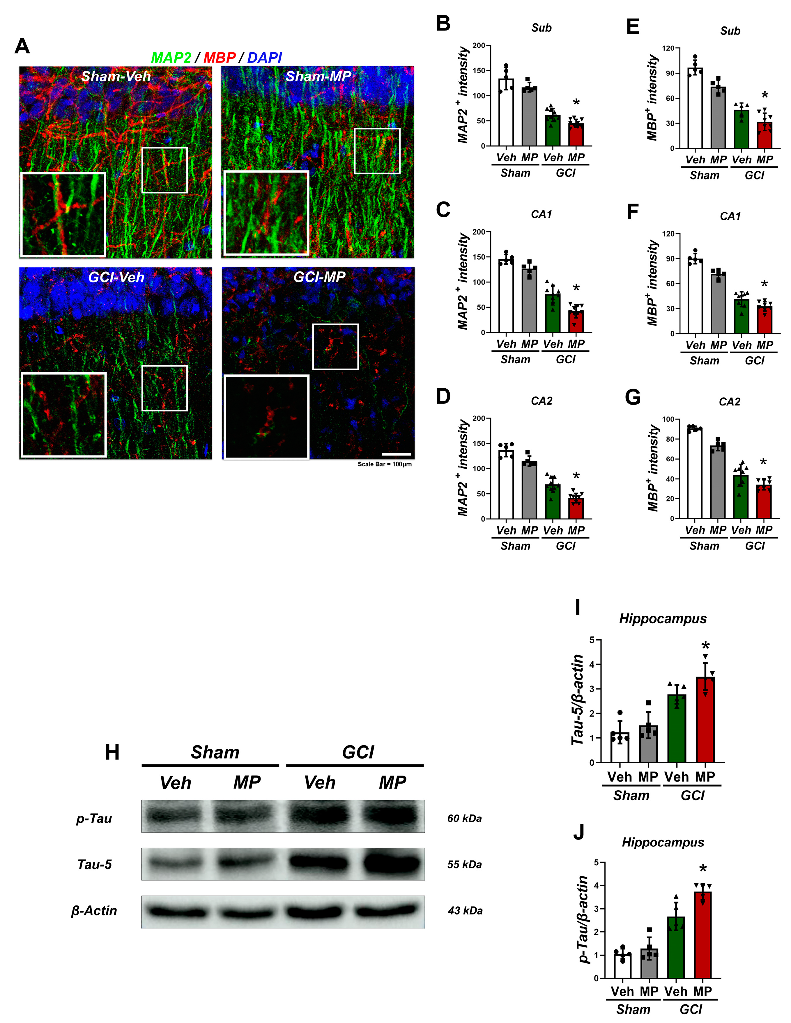 Cells 14 00241 g003