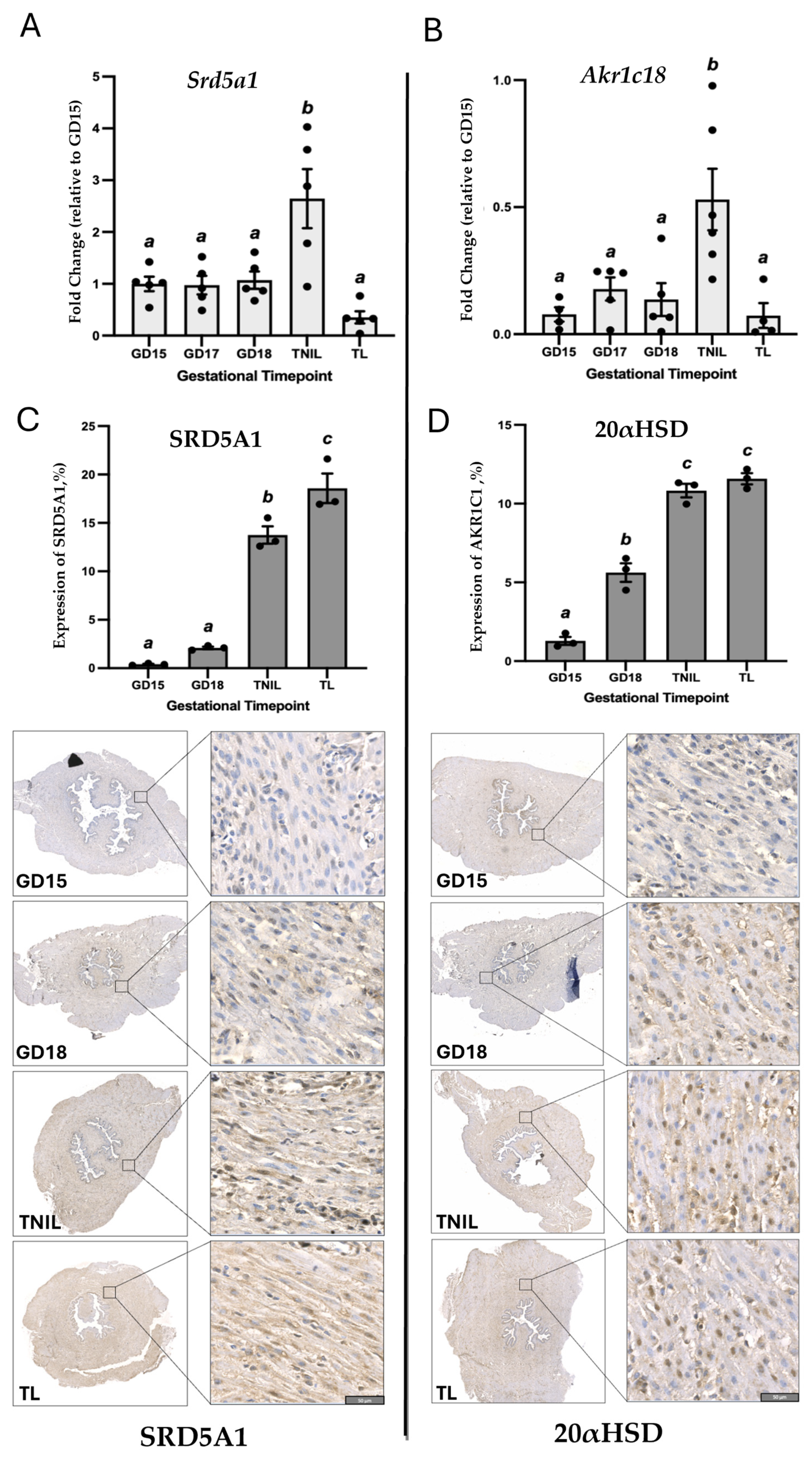 Cells 14 00242 g001 Cells 14 00242 g001