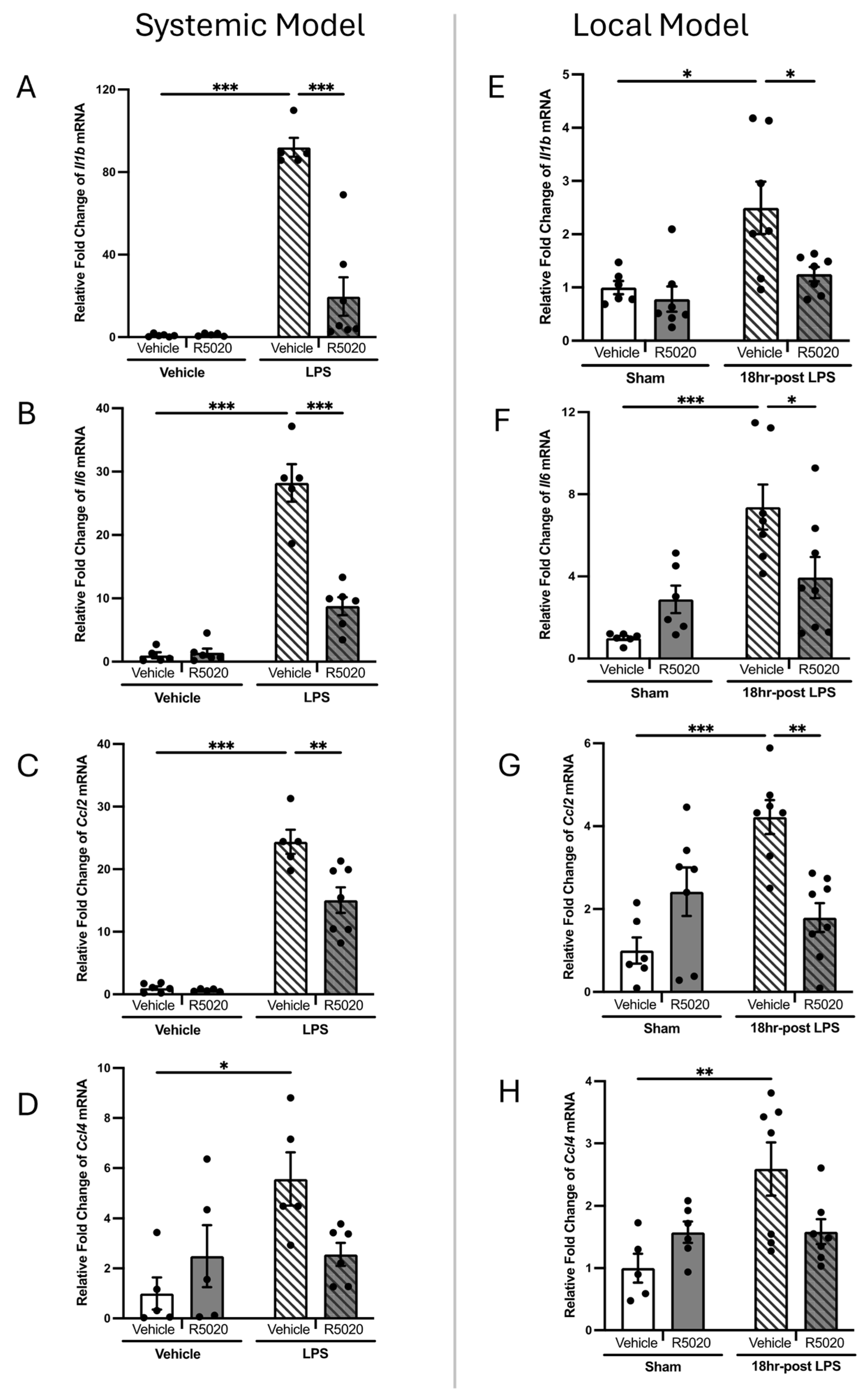 Cells 14 00242 g004 Cells 14 00242 g004
