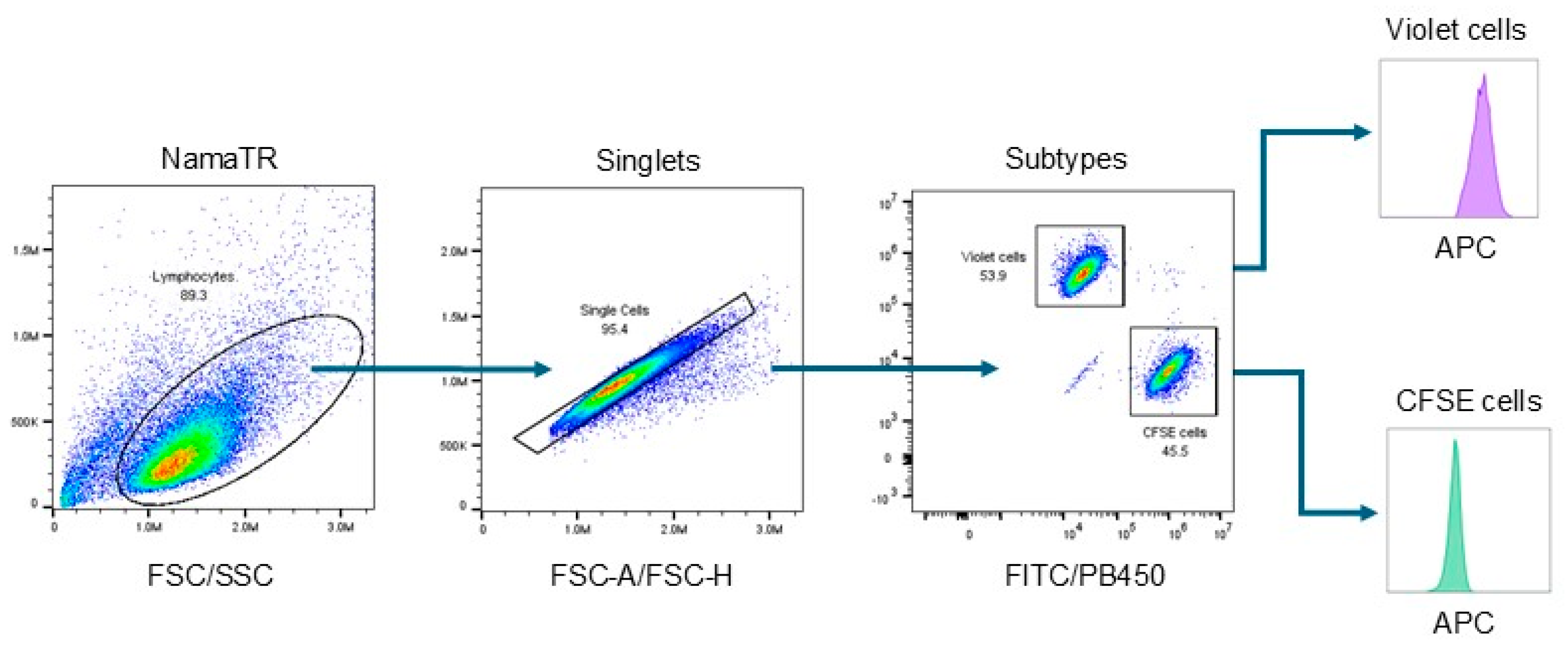 Cells 14 00247 g002 Cells 14 00247 g002