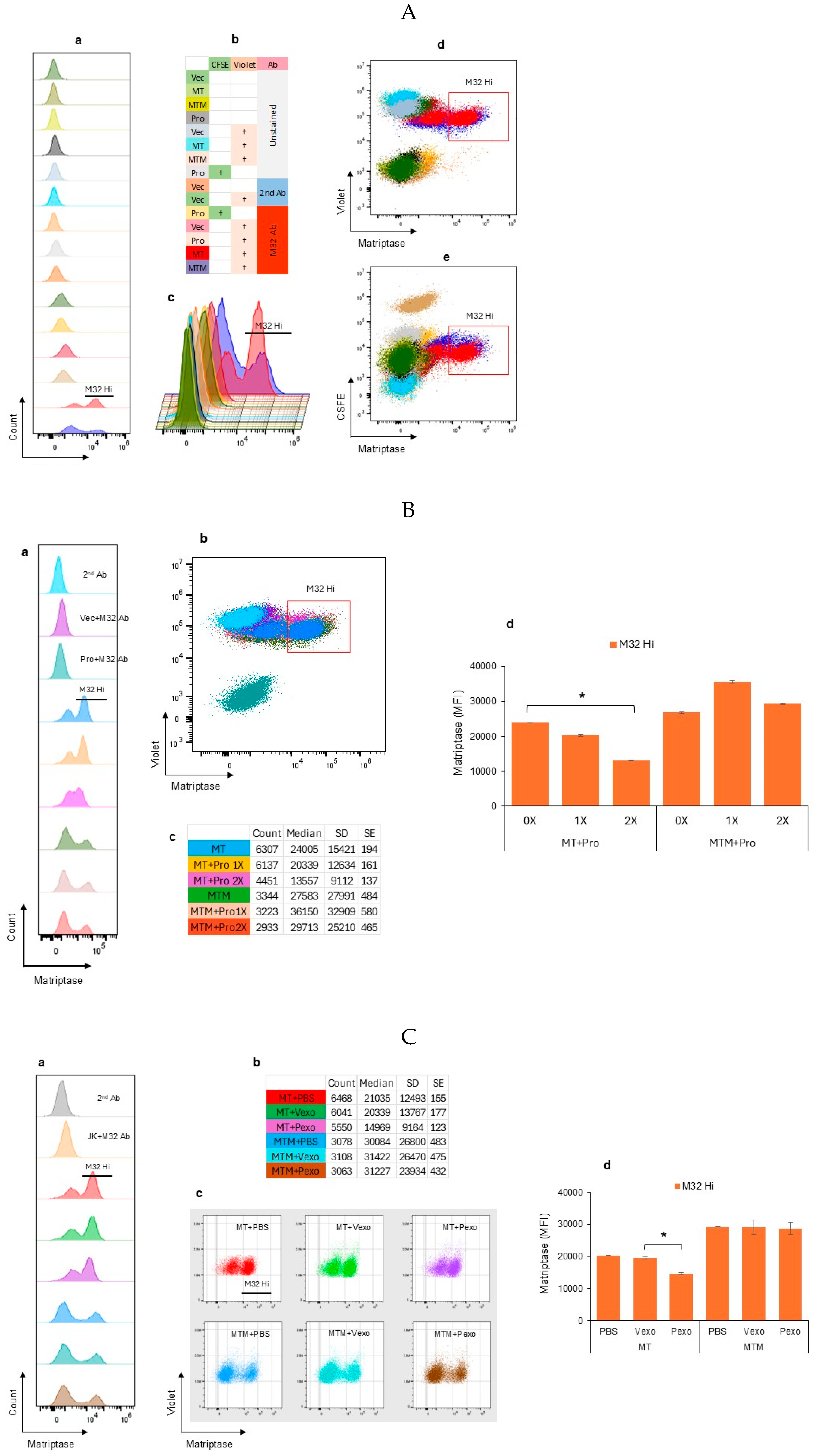 Cells 14 00247 g004 Cells 14 00247 g004