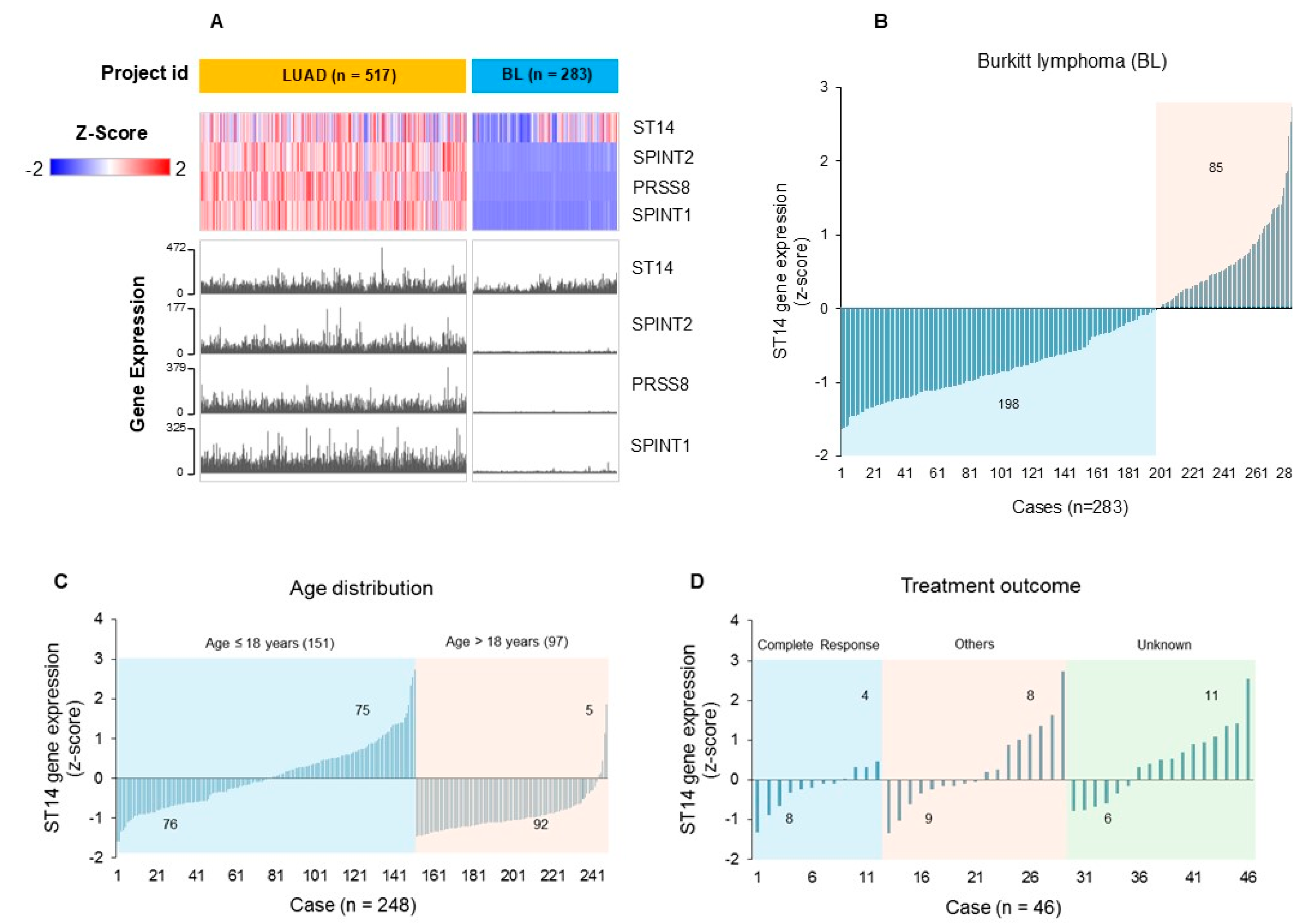 Cells 14 00247 g006 Cells 14 00247 g006
