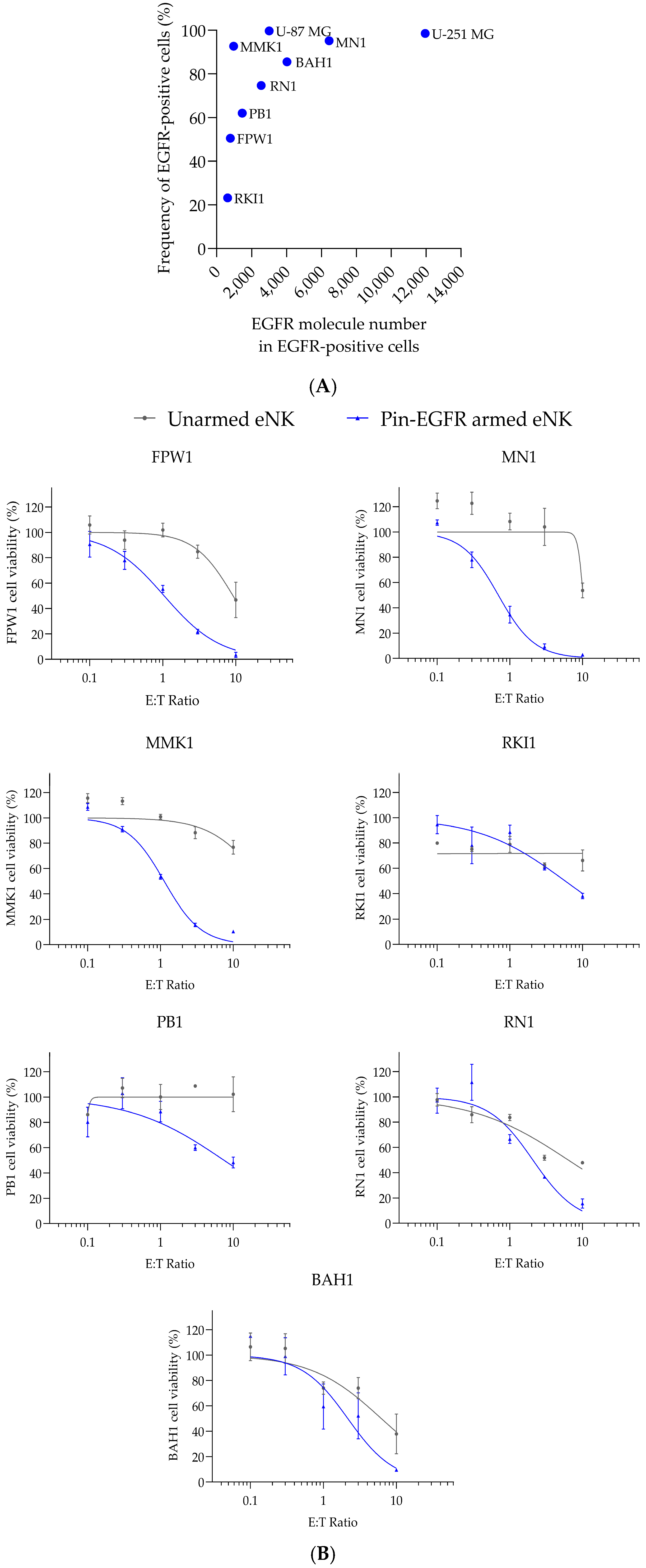 Cells 14 00254 g004a