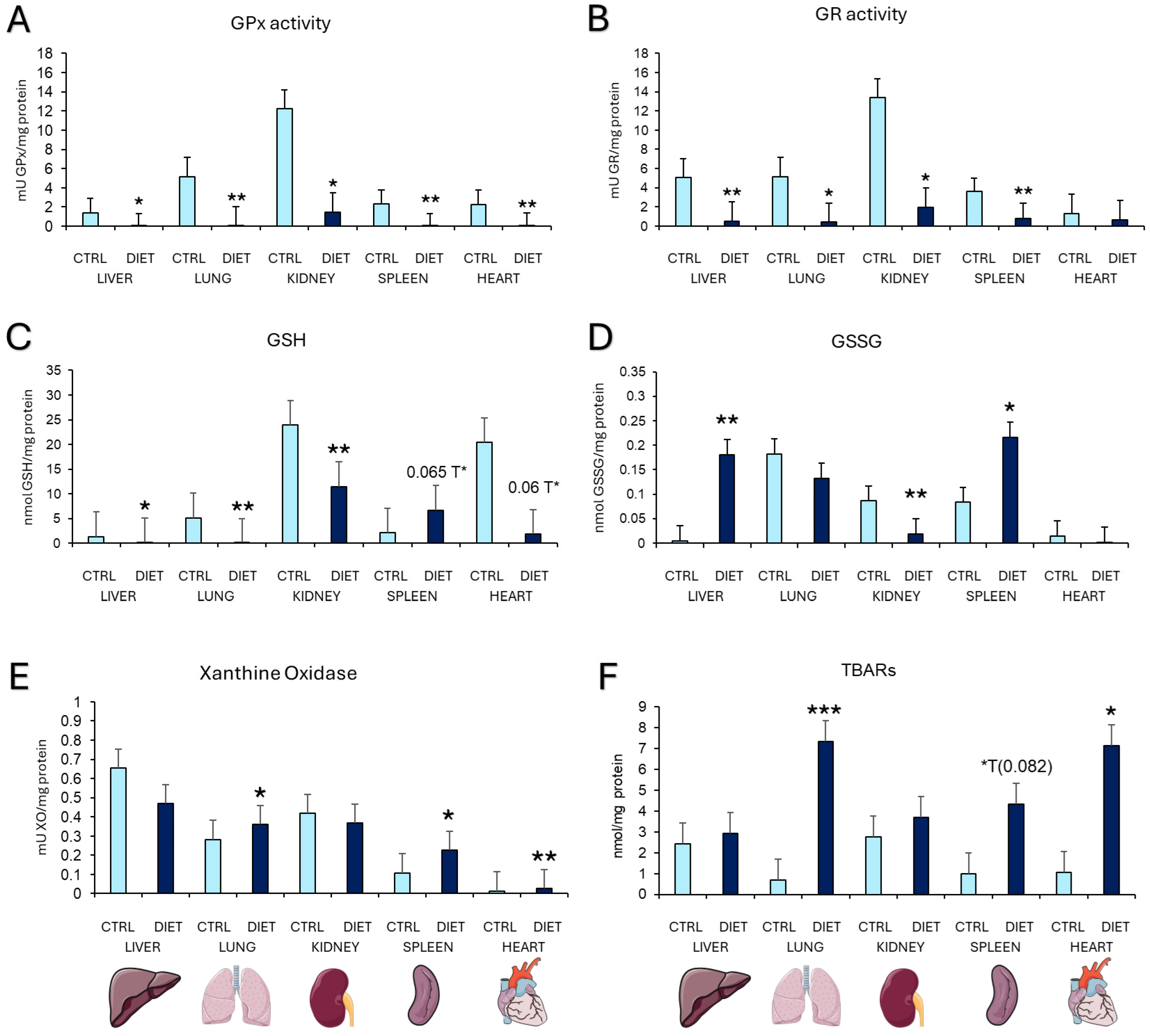 Cells 14 00279 g004 Cells 14 00279 g004