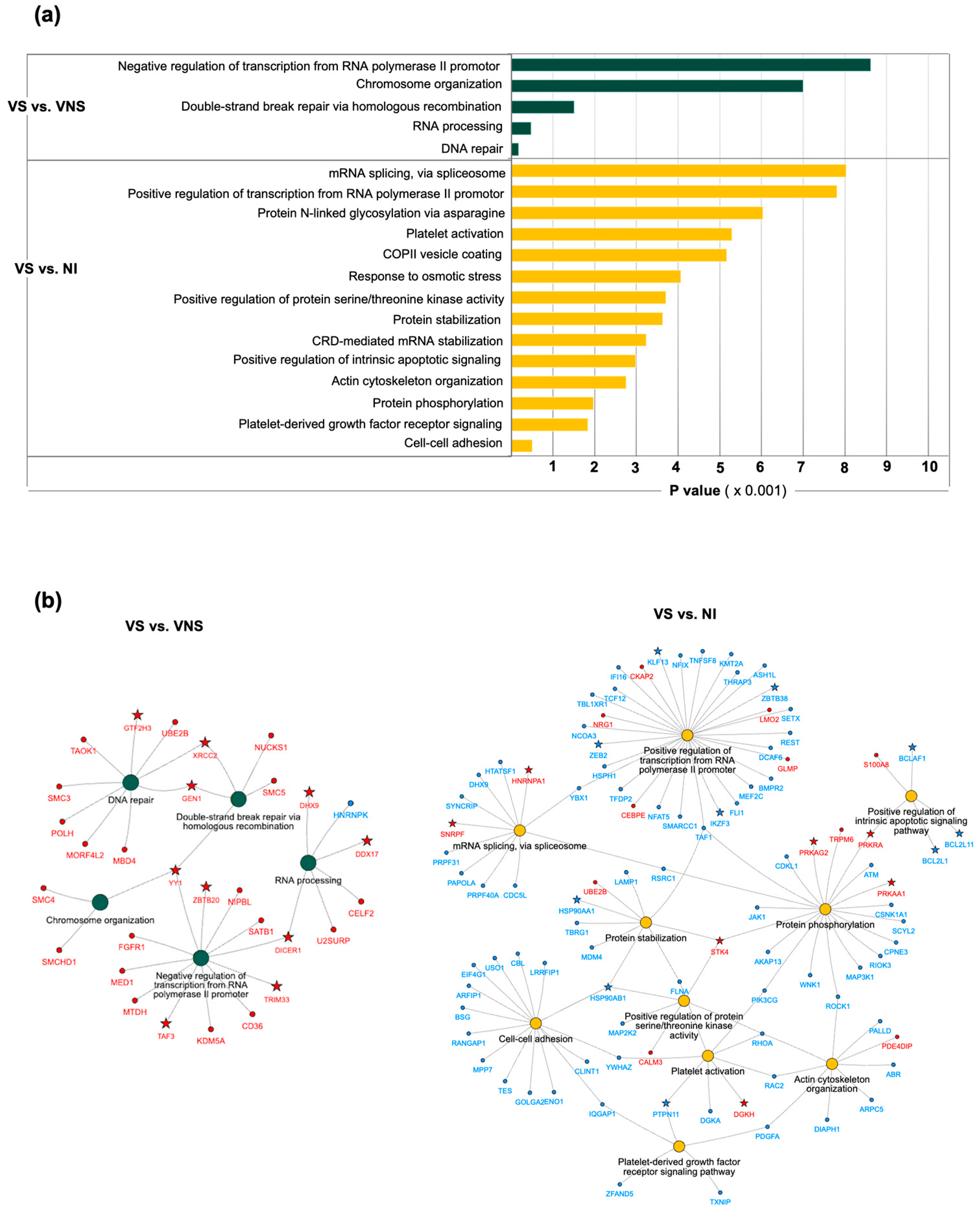 Cells 14 00285 g005 Cells 14 00285 g005