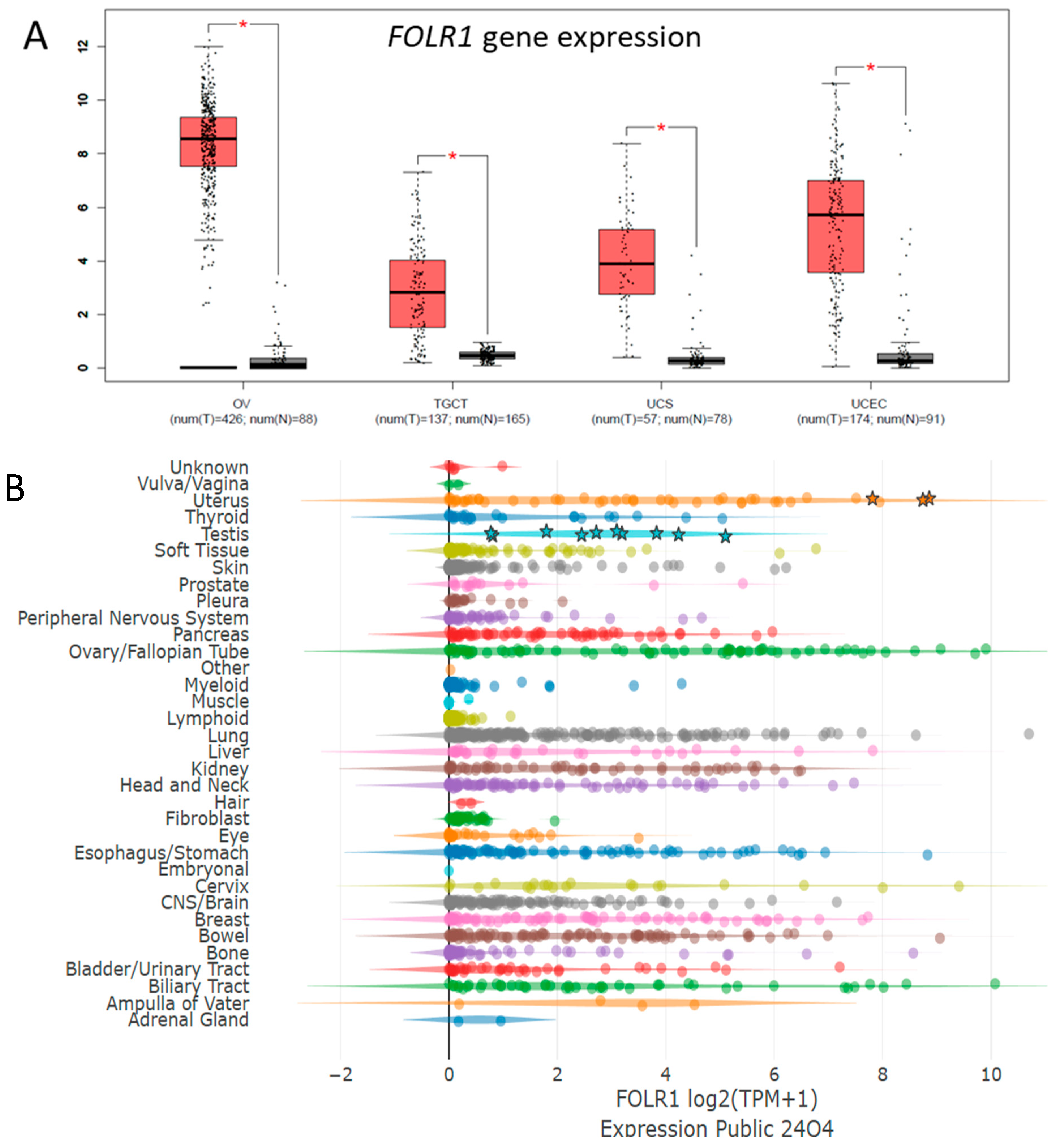 Cells 14 00287 g001a