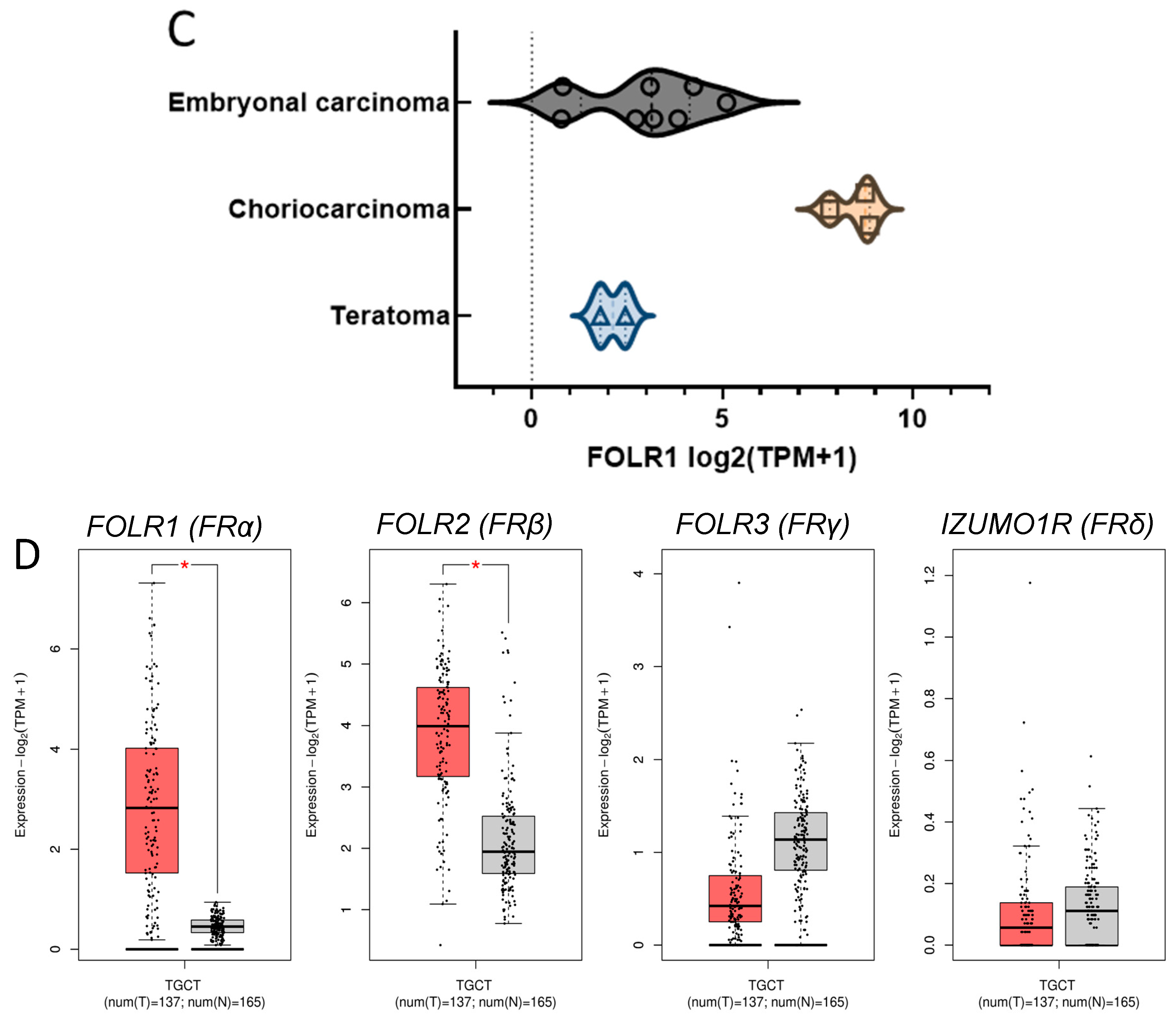 Cells 14 00287 g001b