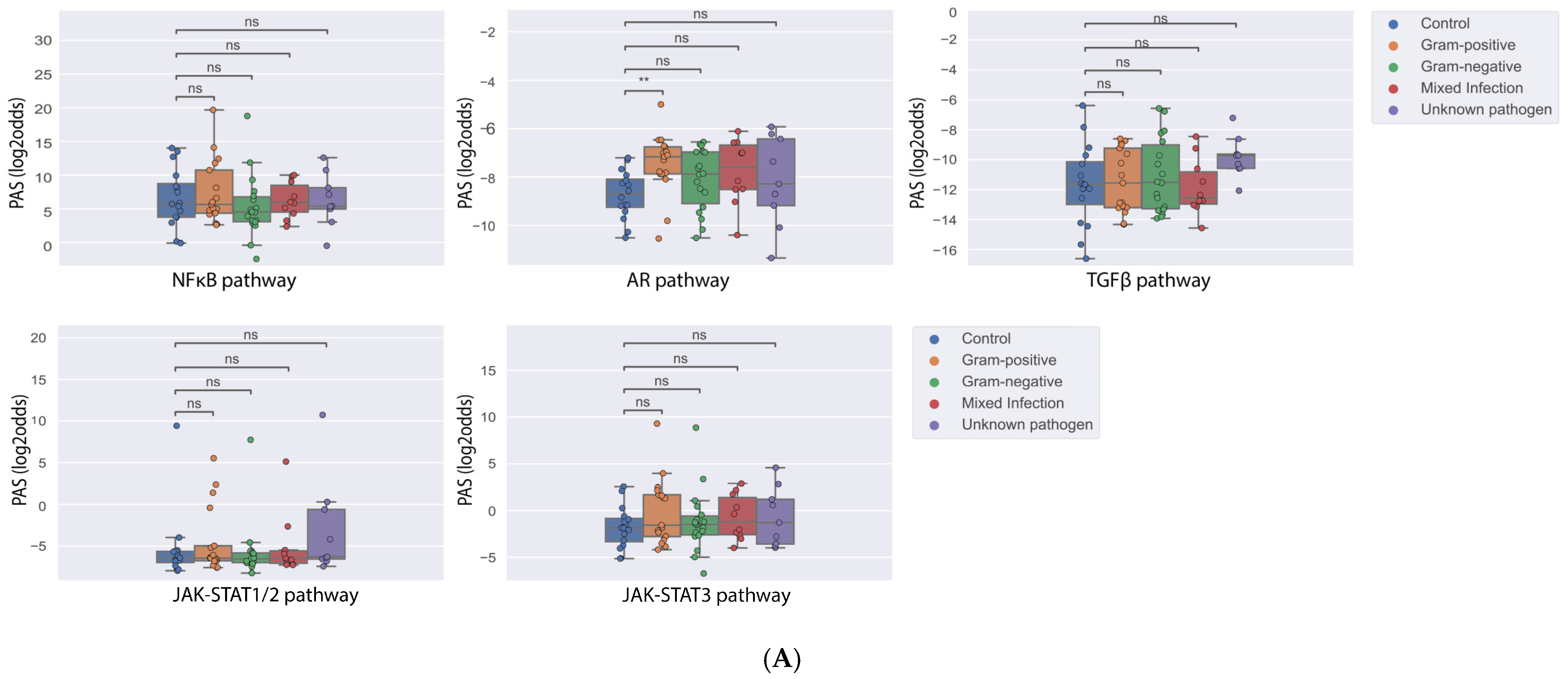 Cells 14 00311 g001a