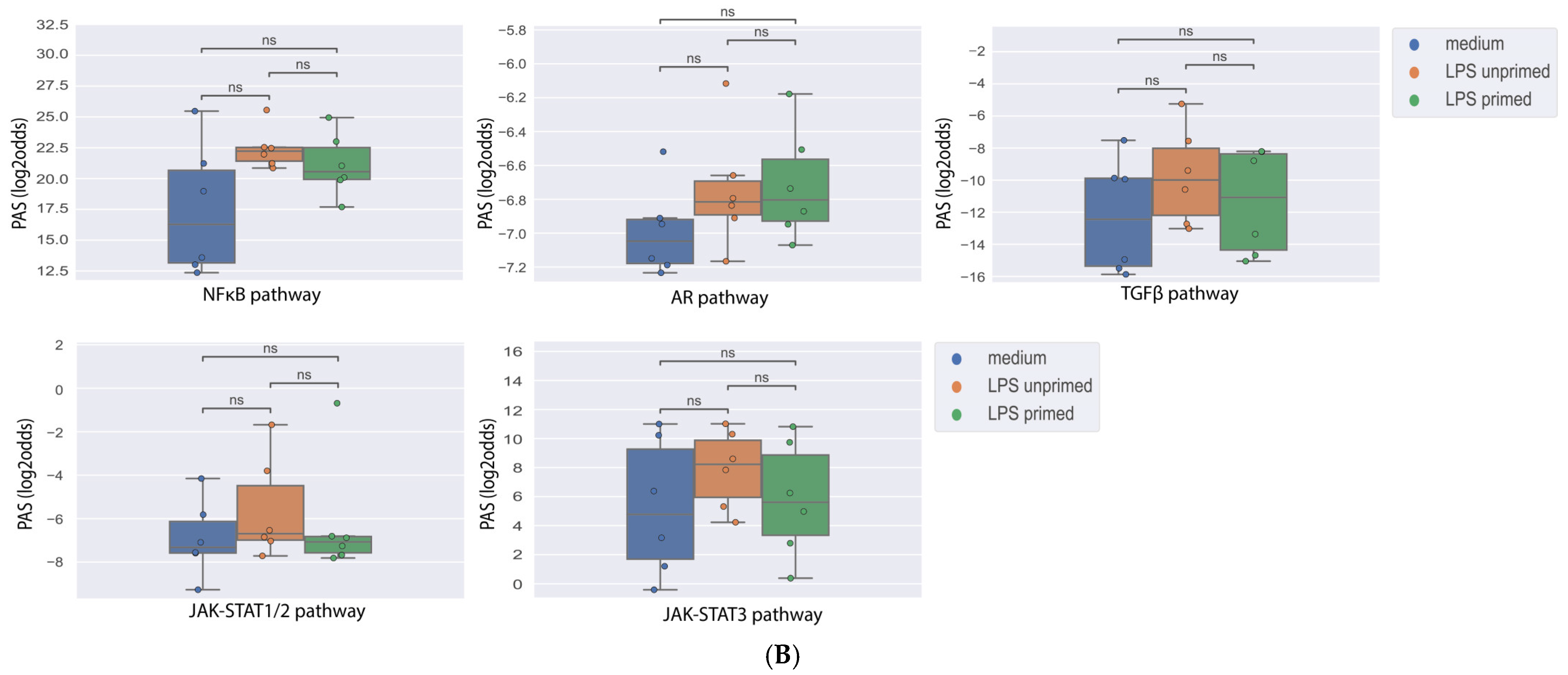 Cells 14 00311 g001b