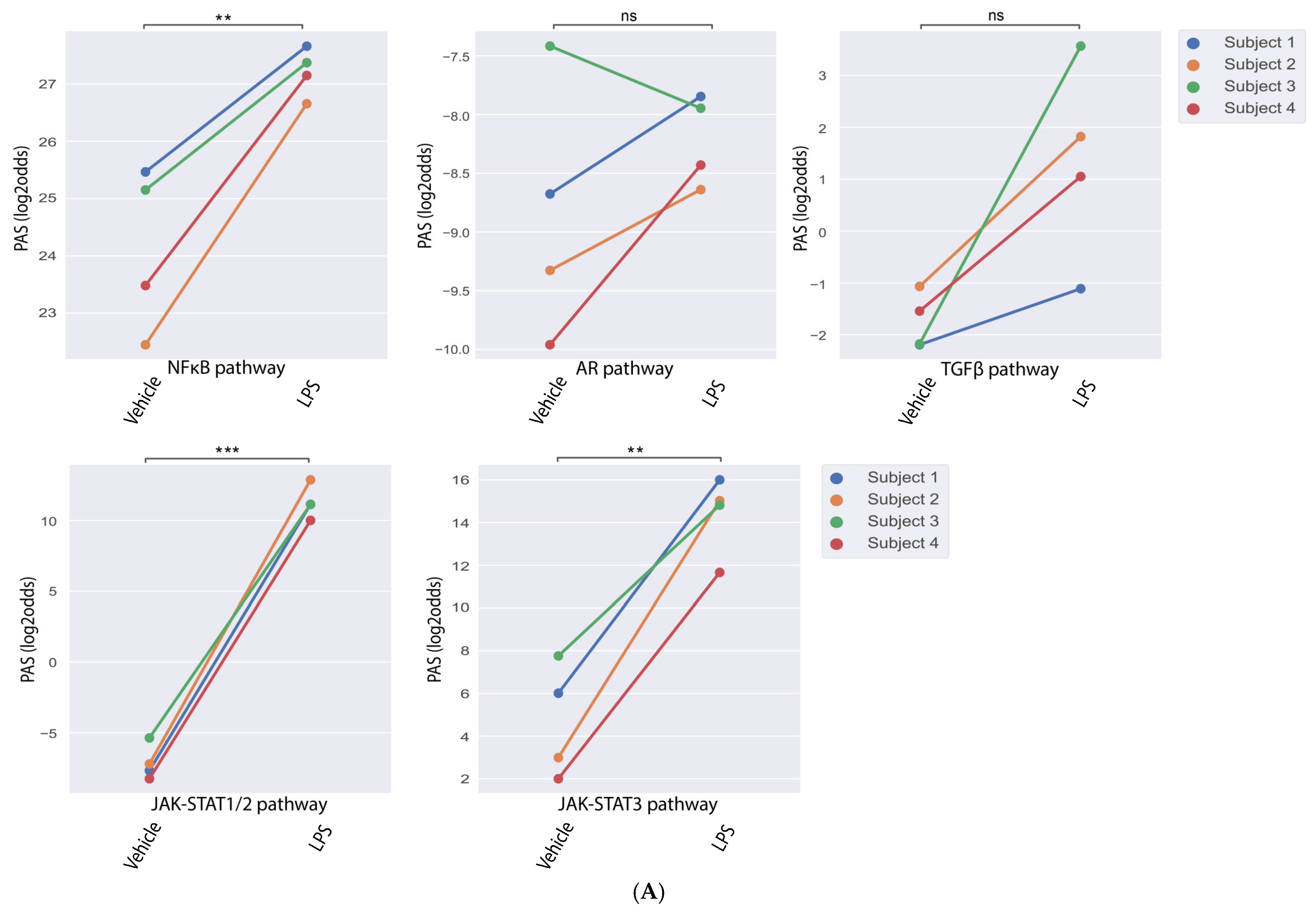 Cells 14 00311 g002a