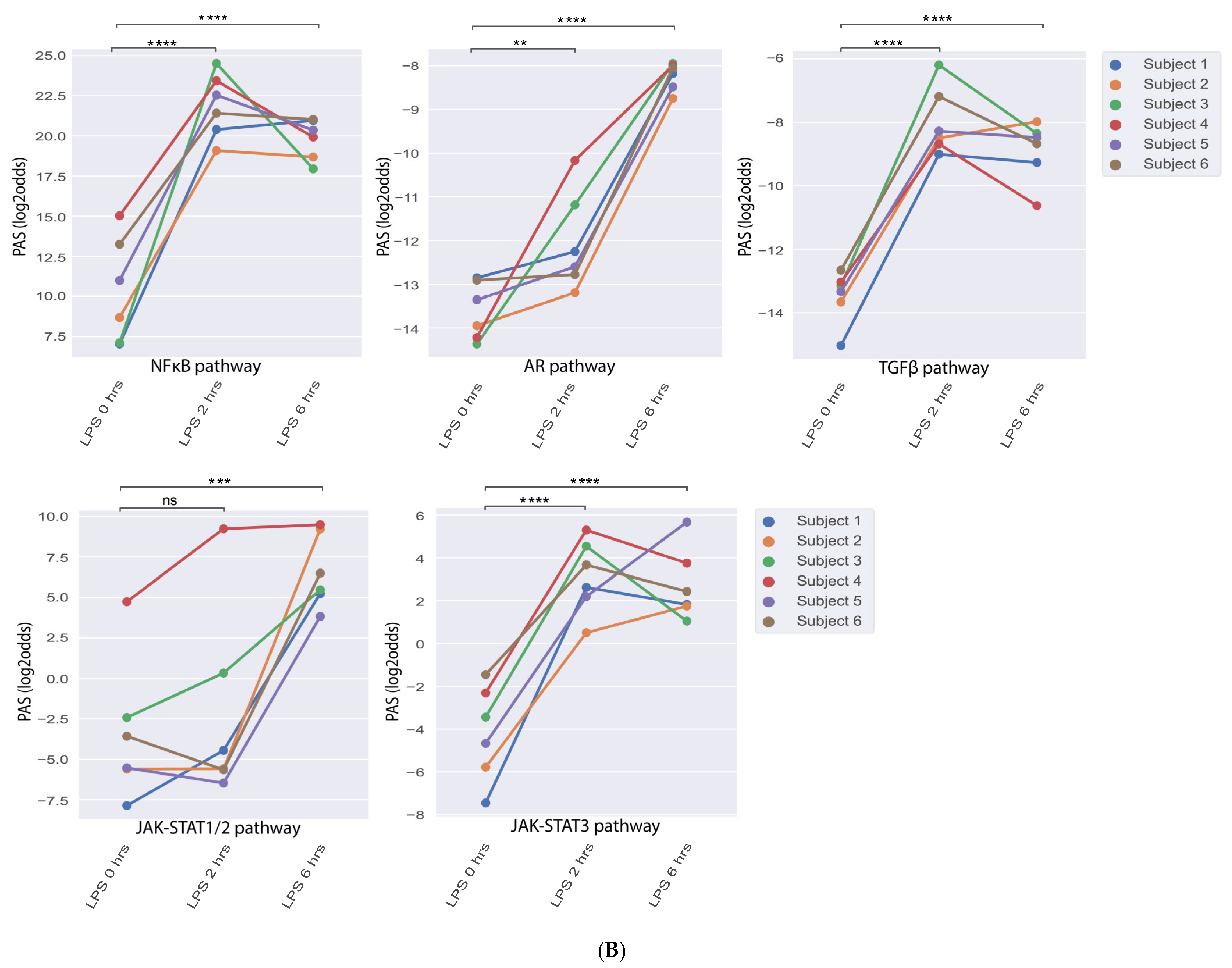 Cells 14 00311 g002b
