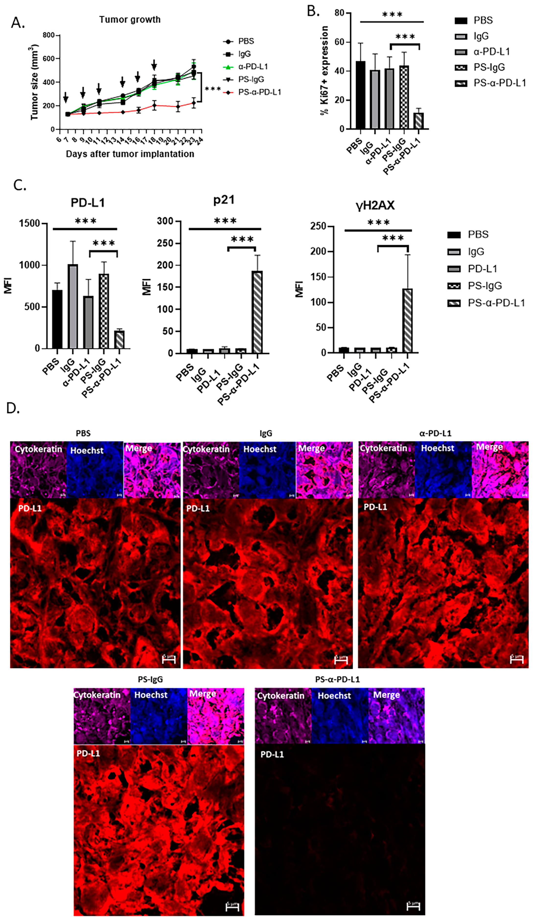 Cells 14 00314 g005