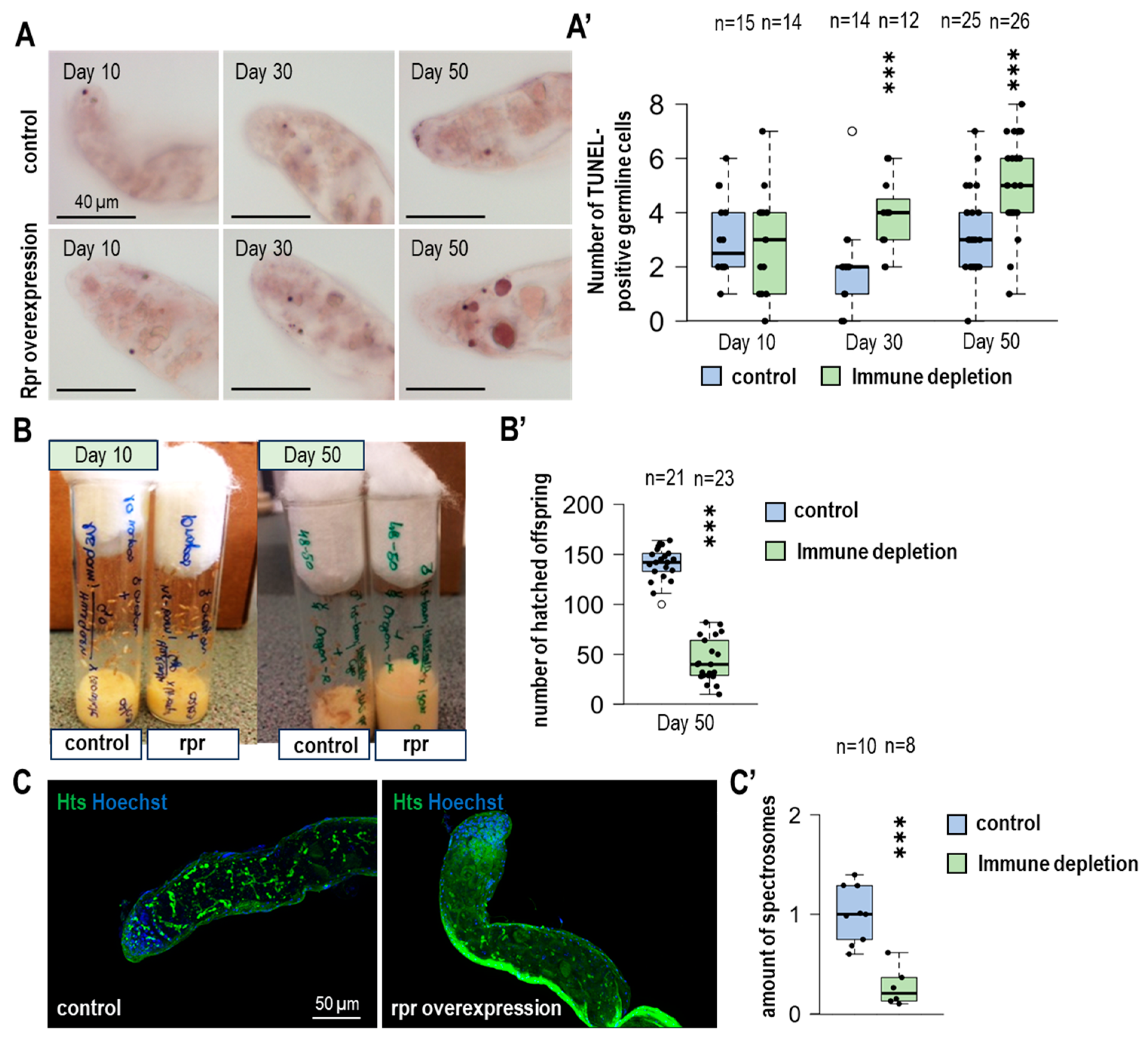 Cells 14 00315 g002 Cells 14 00315 g002