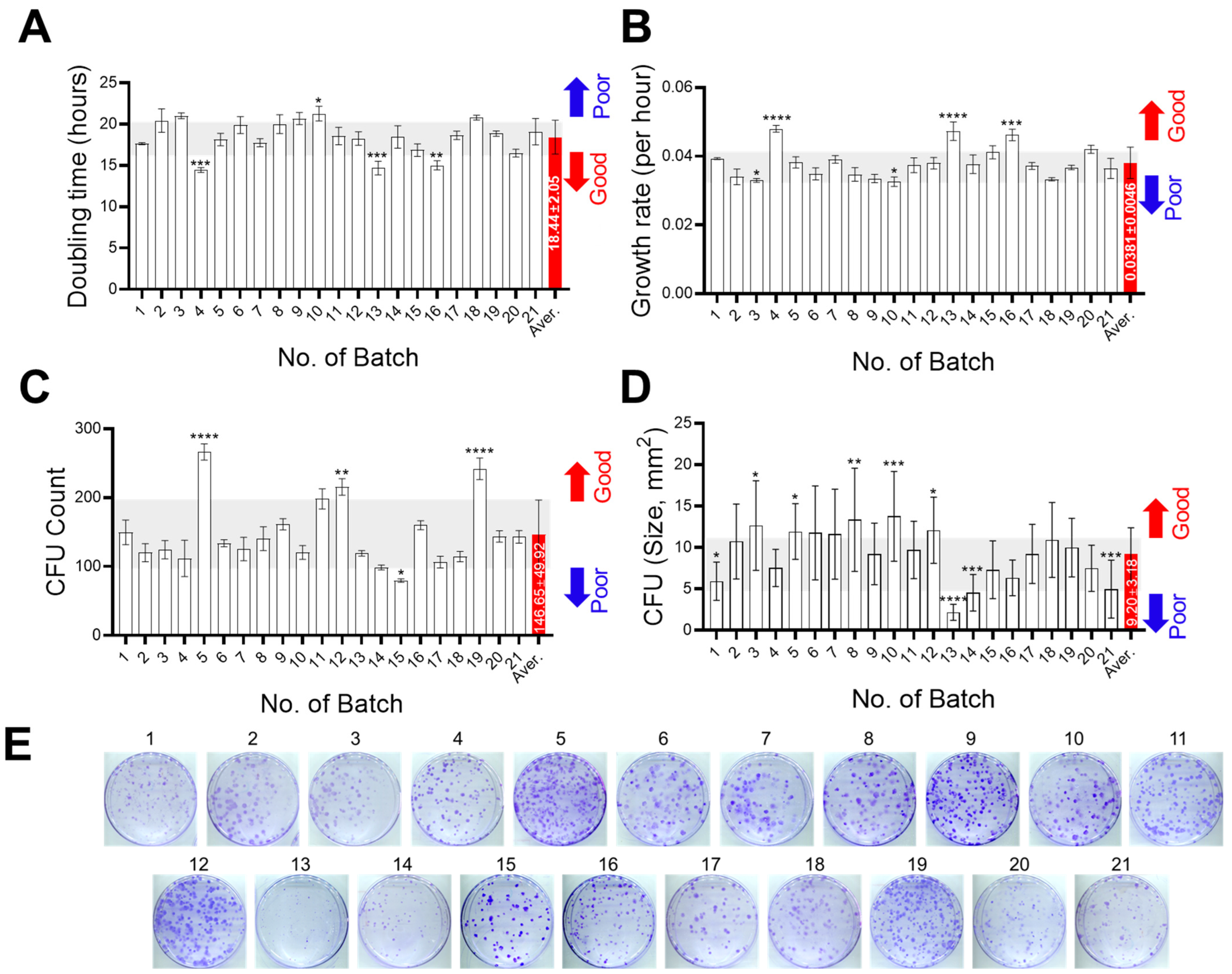 Cells 14 00316 g001a