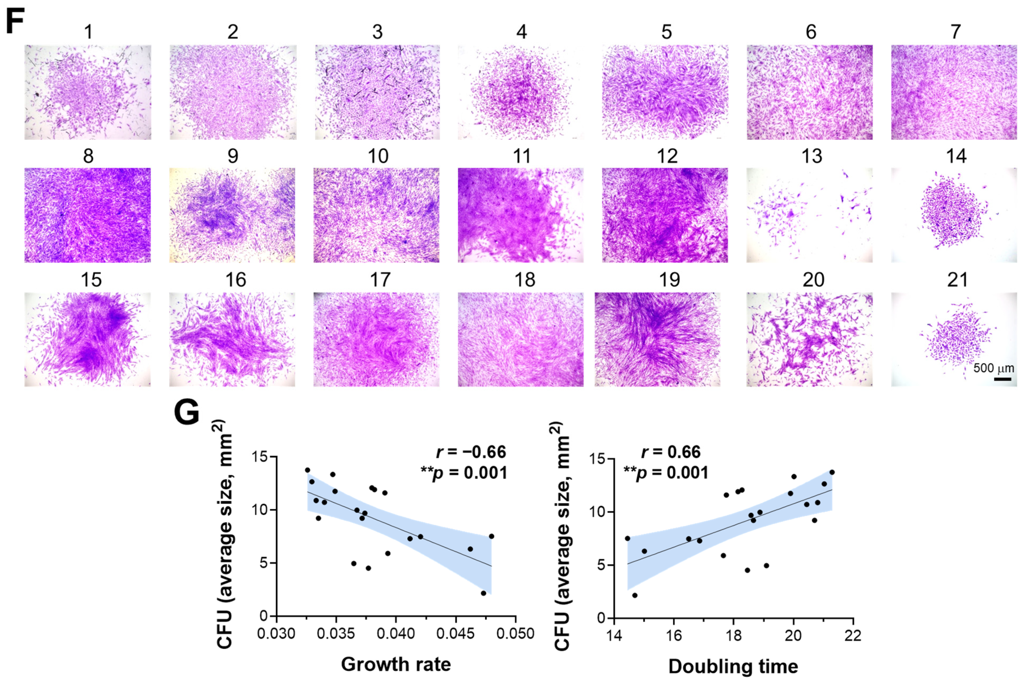 Cells 14 00316 g001b