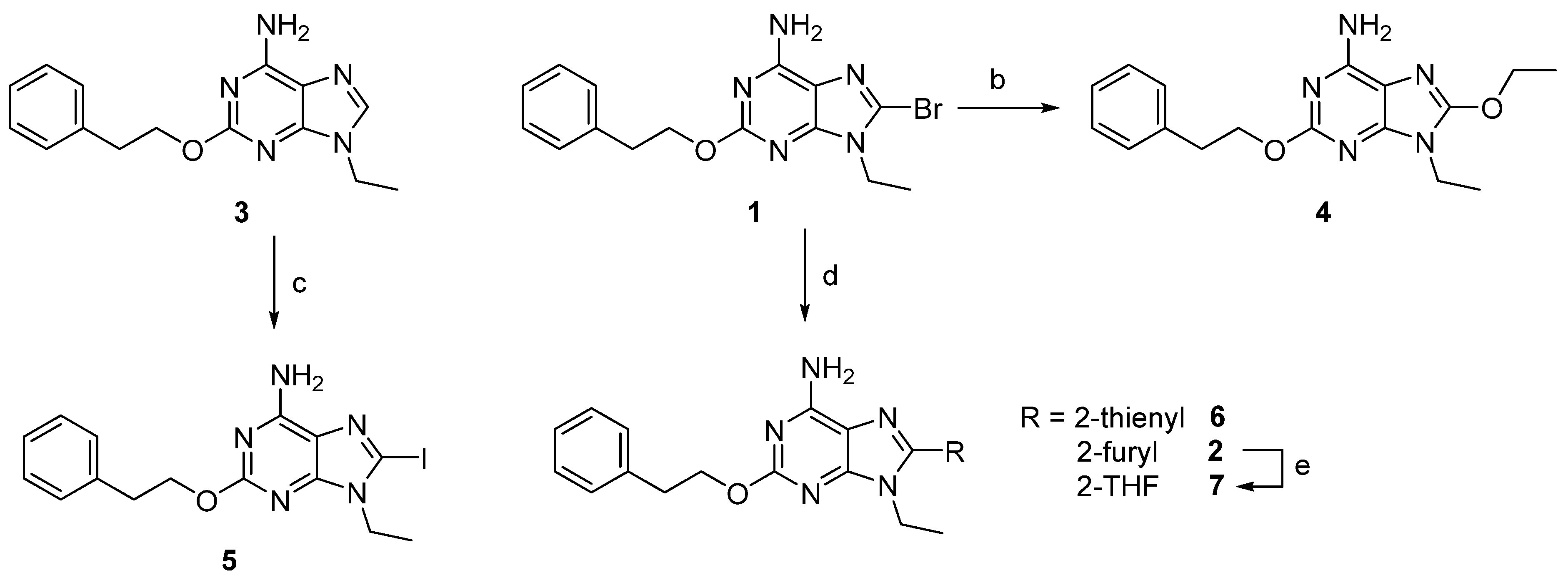 Cells 14 00338 sch001