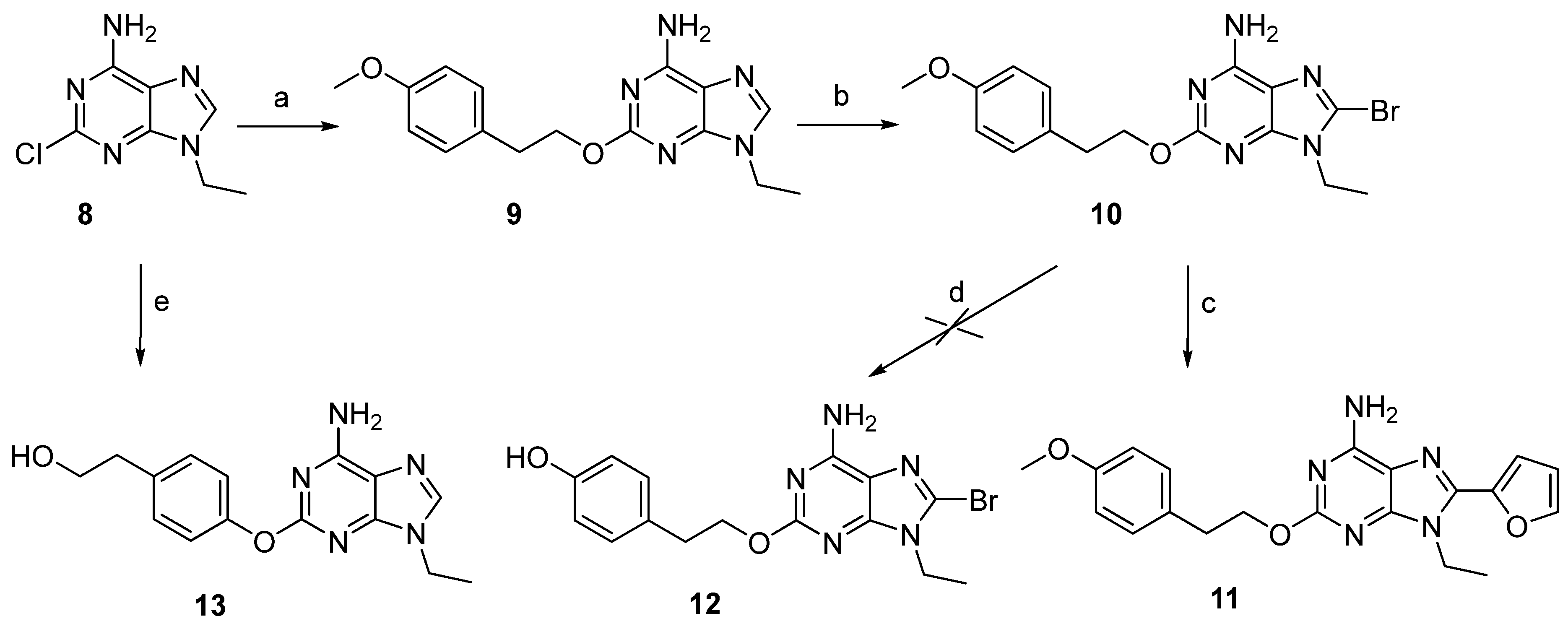 Cells 14 00338 sch002