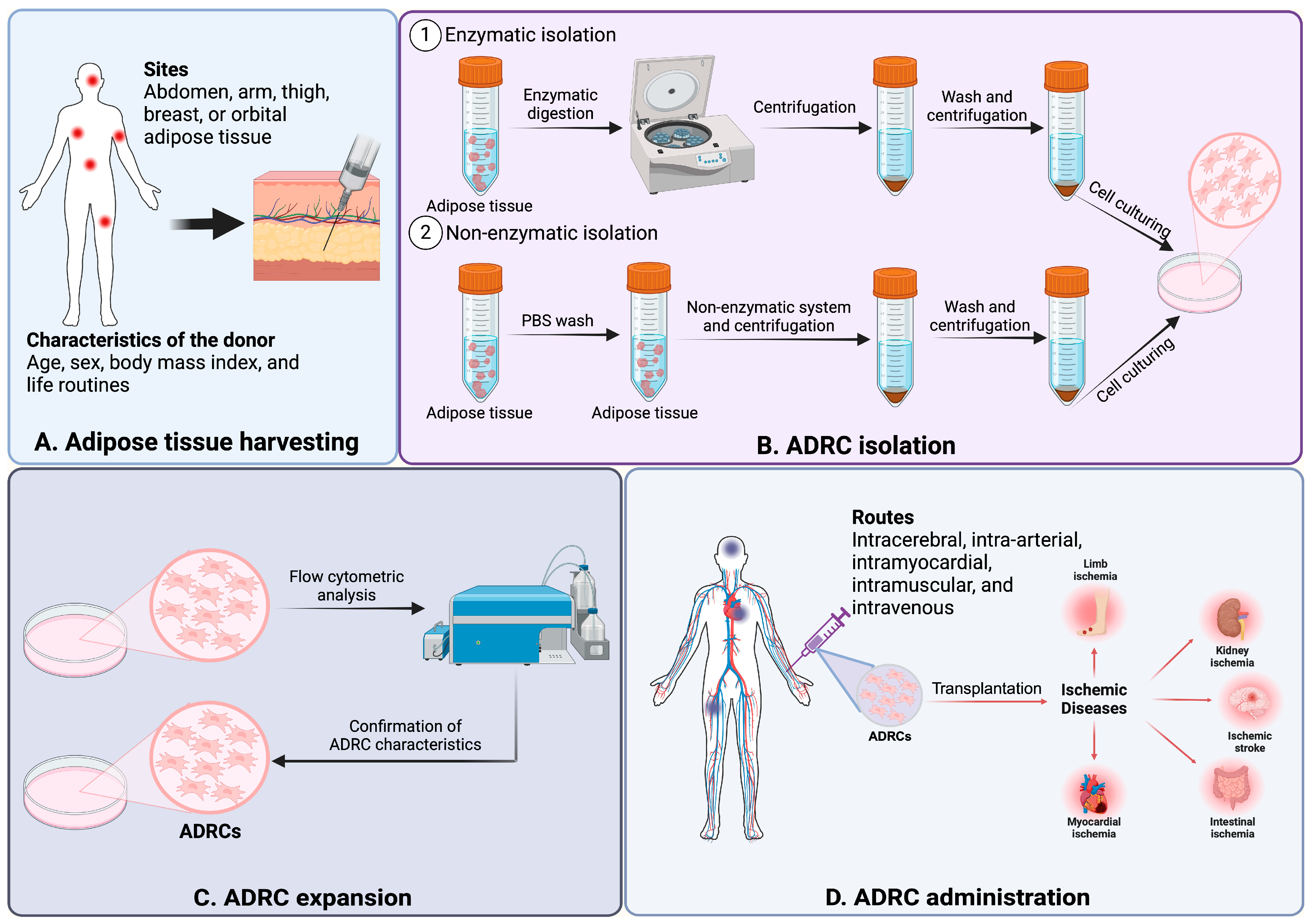 Cells 14 00343 g002 Cells 14 00343 g002