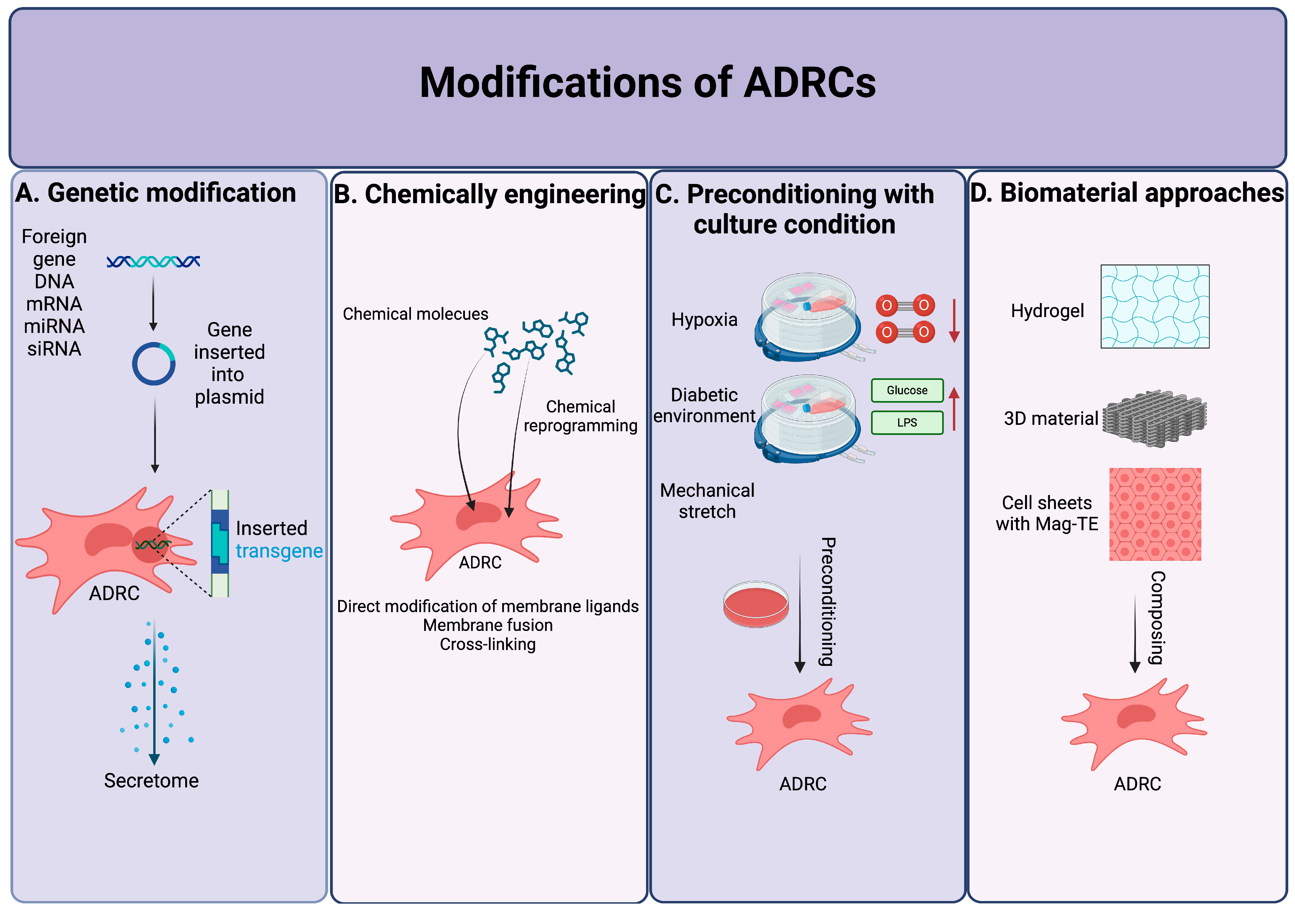 Cells 14 00343 g004 Cells 14 00343 g004